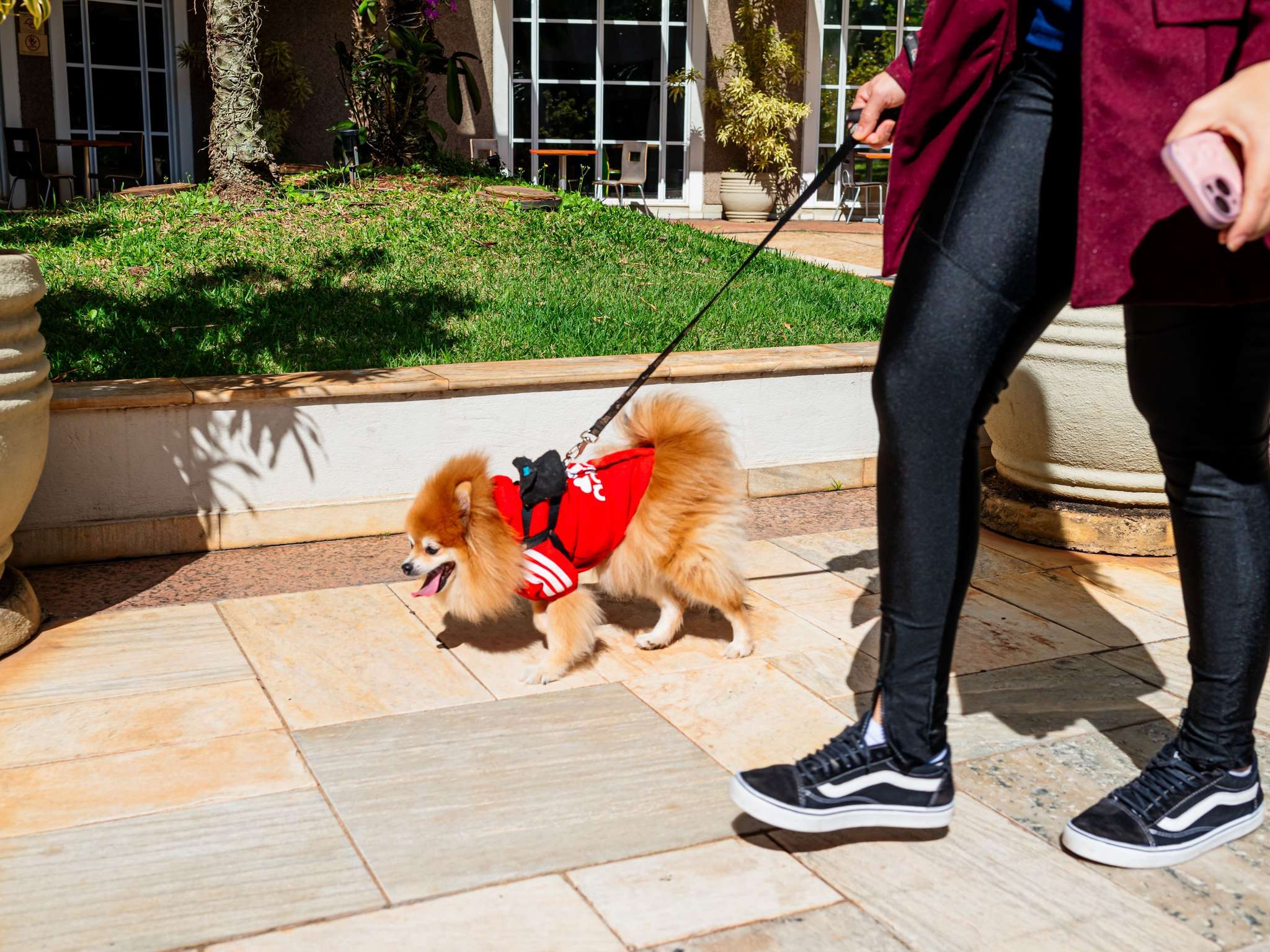 Foto - ibis Campinas