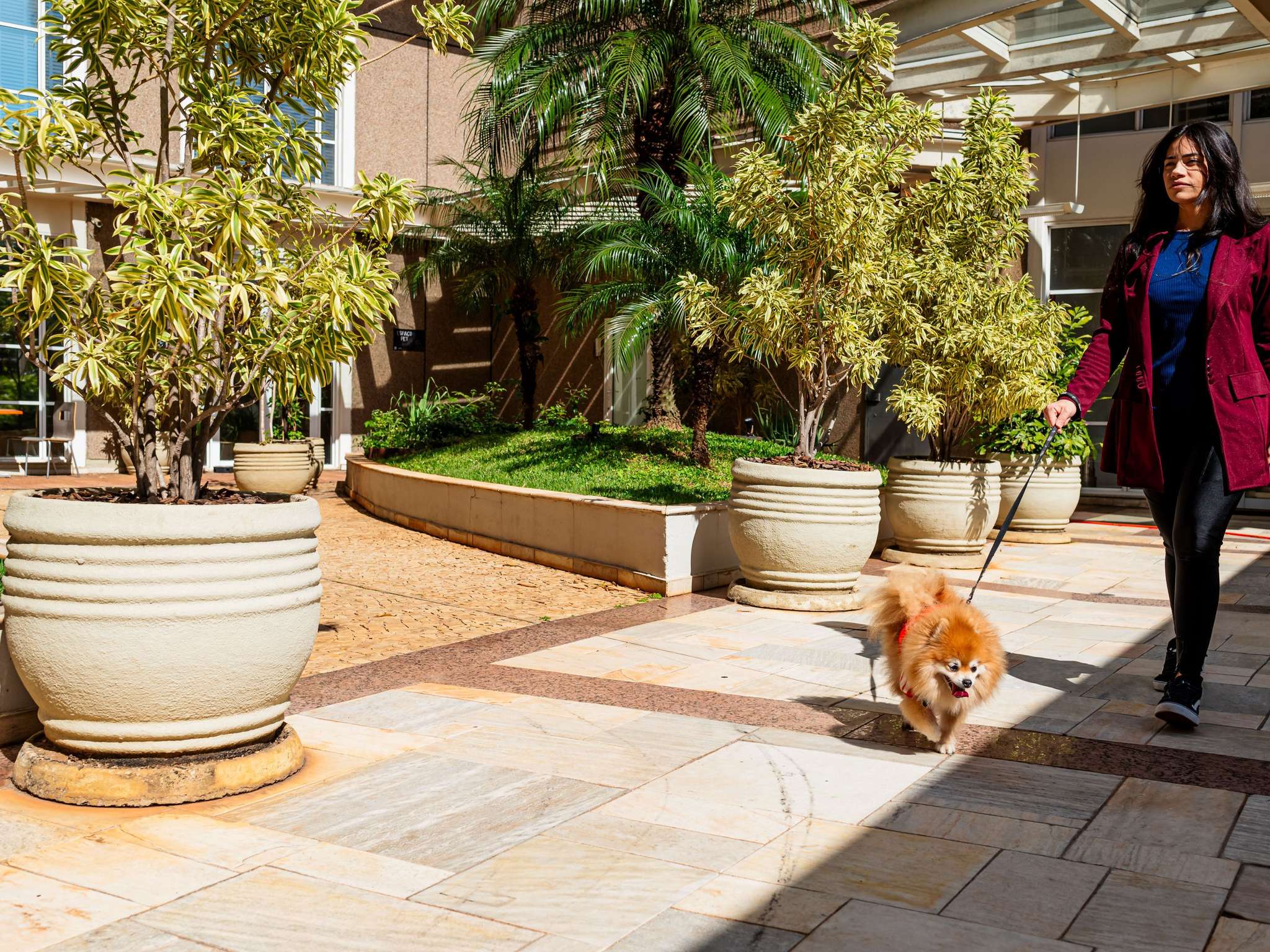 Foto - ibis Campinas