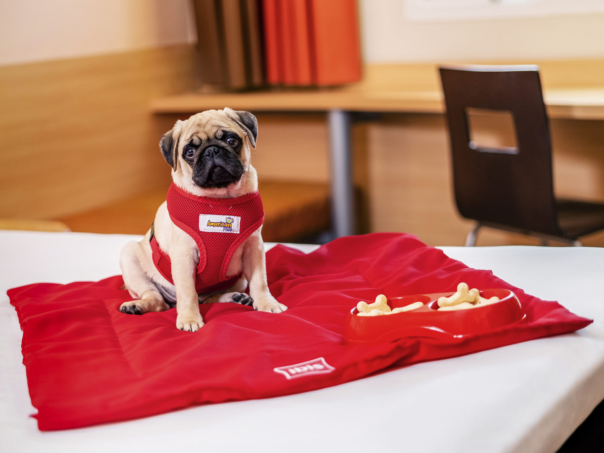 Foto - ibis Sao Paulo Interlagos