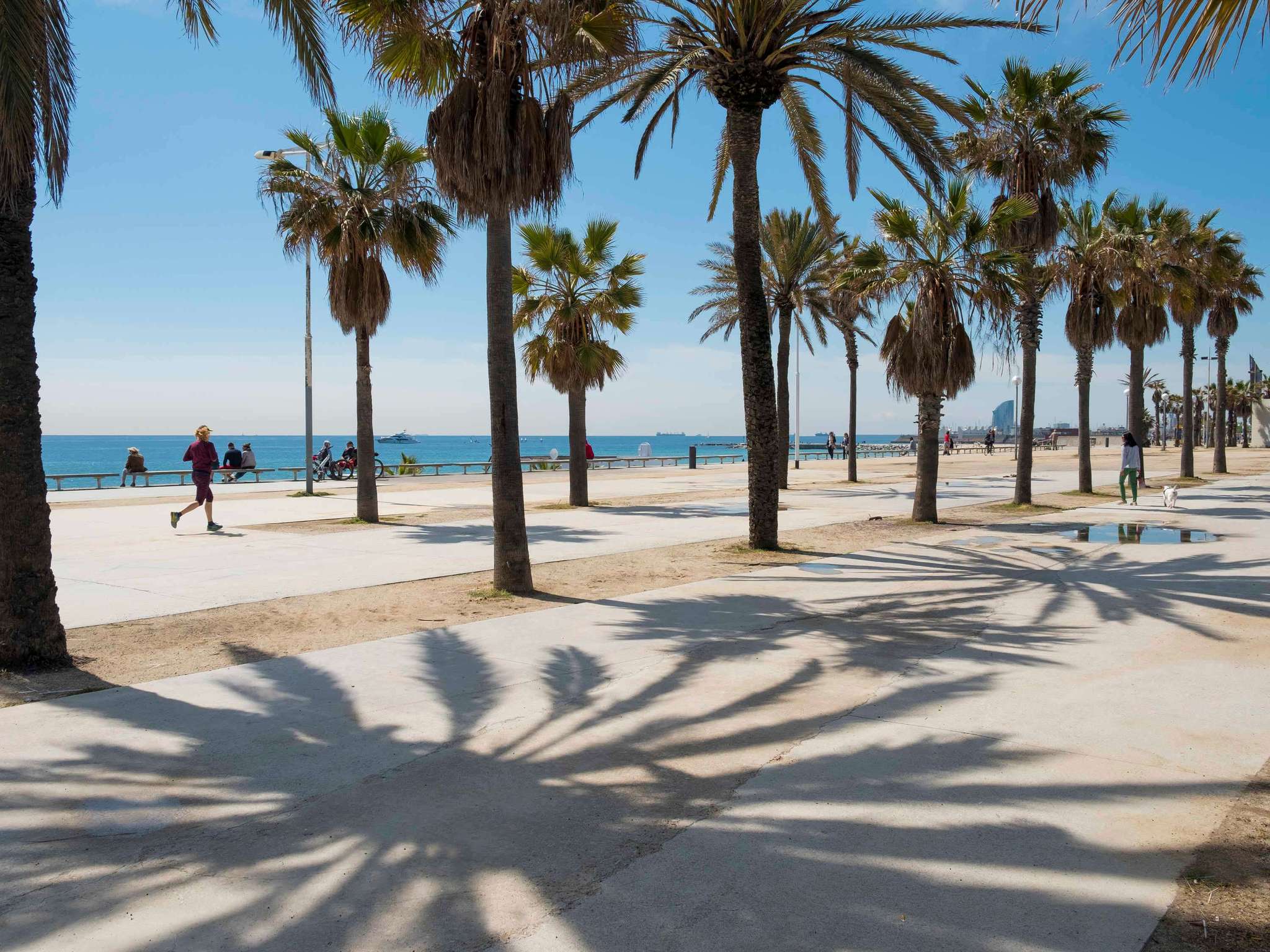 Foto - Novotel Barcelona City