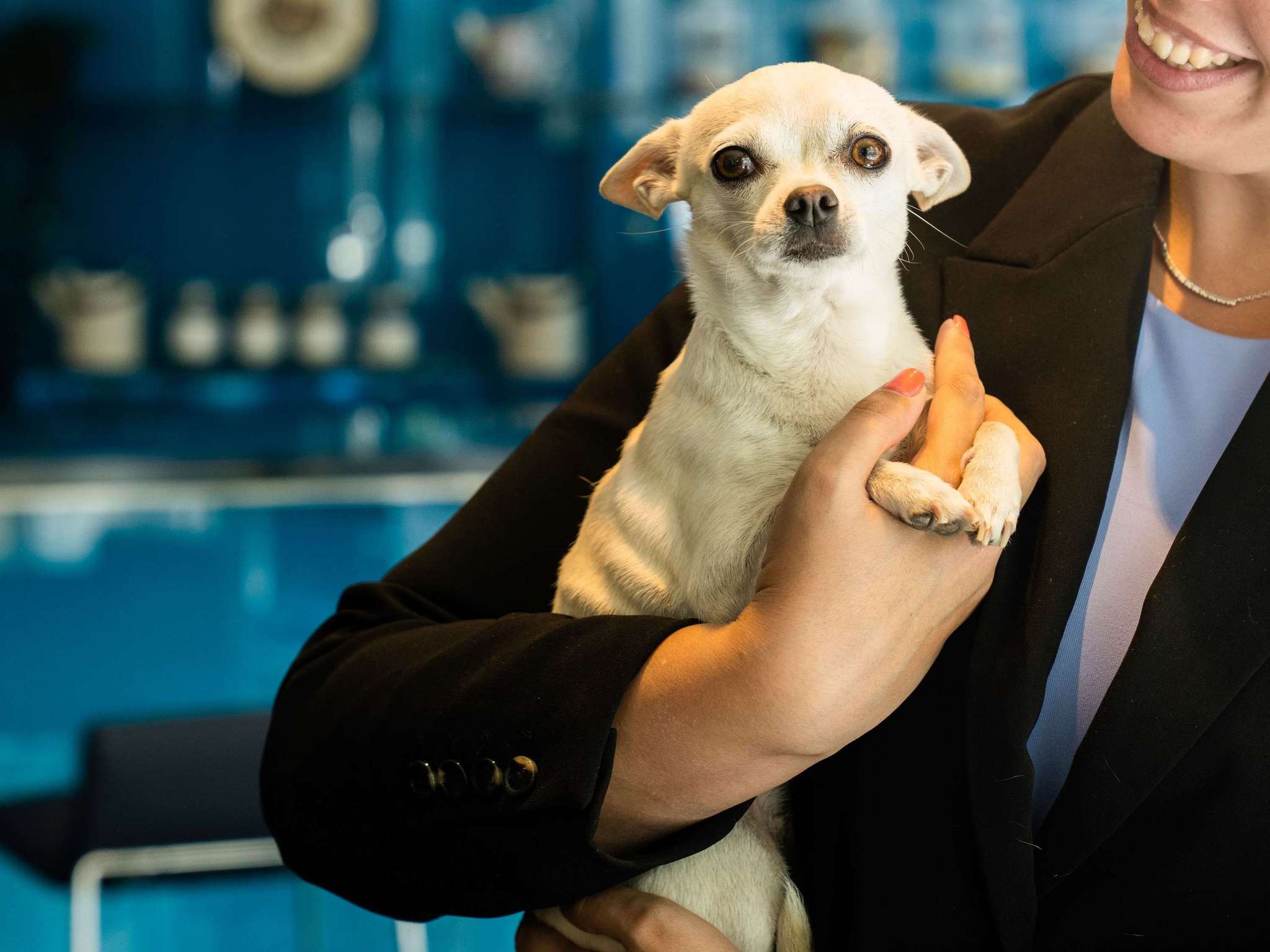 Foto - Novotel Barcelona City