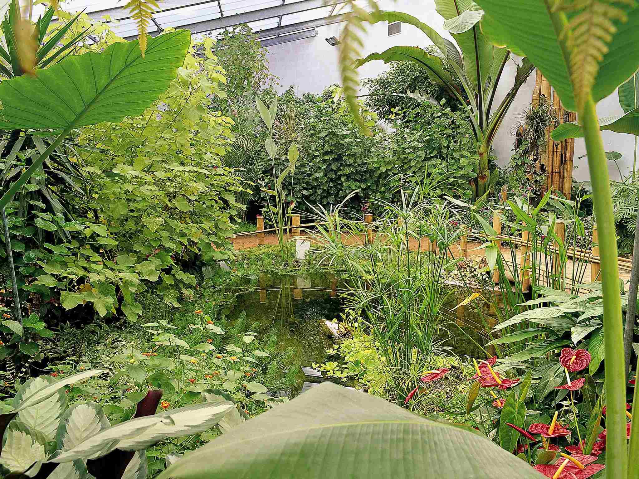 Foto - Ibis budget Orléans Sud Comet