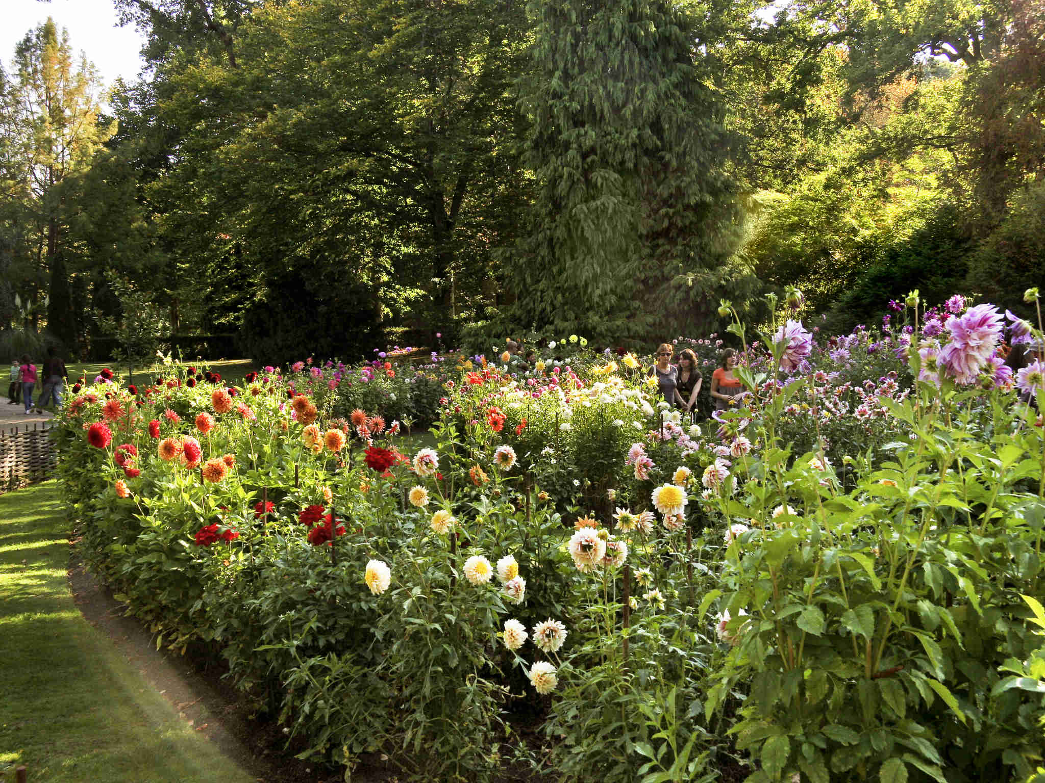Foto - Ibis budget Orléans Sud Comet