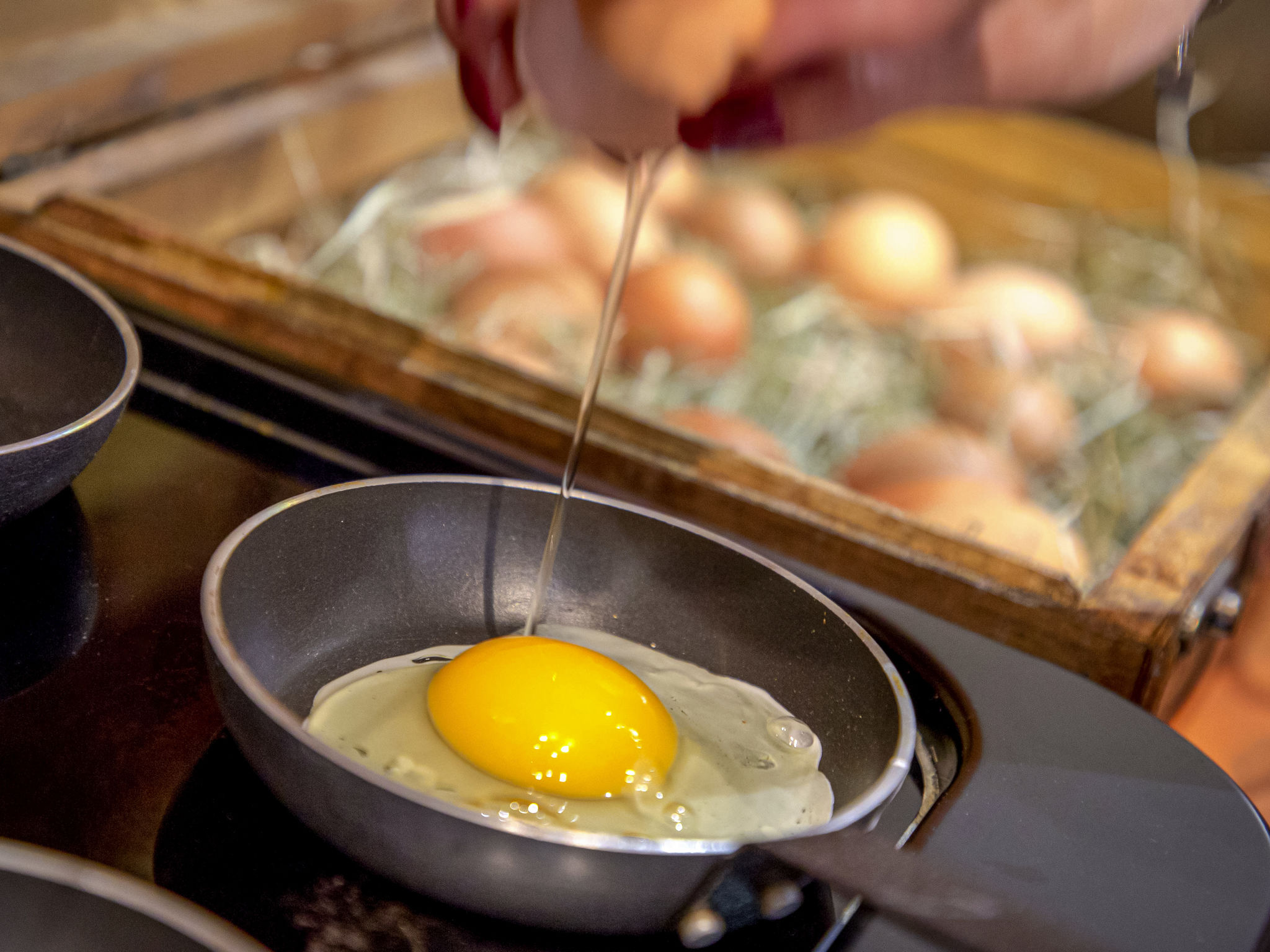 Photo - ibis Styles Béziers Centre