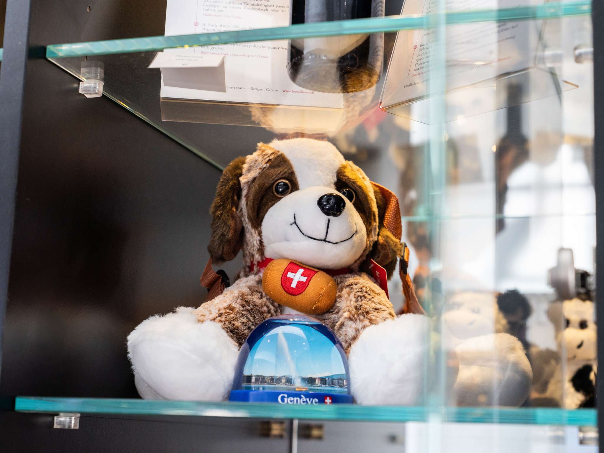 Photo - Novotel Suites Genève Aéroport