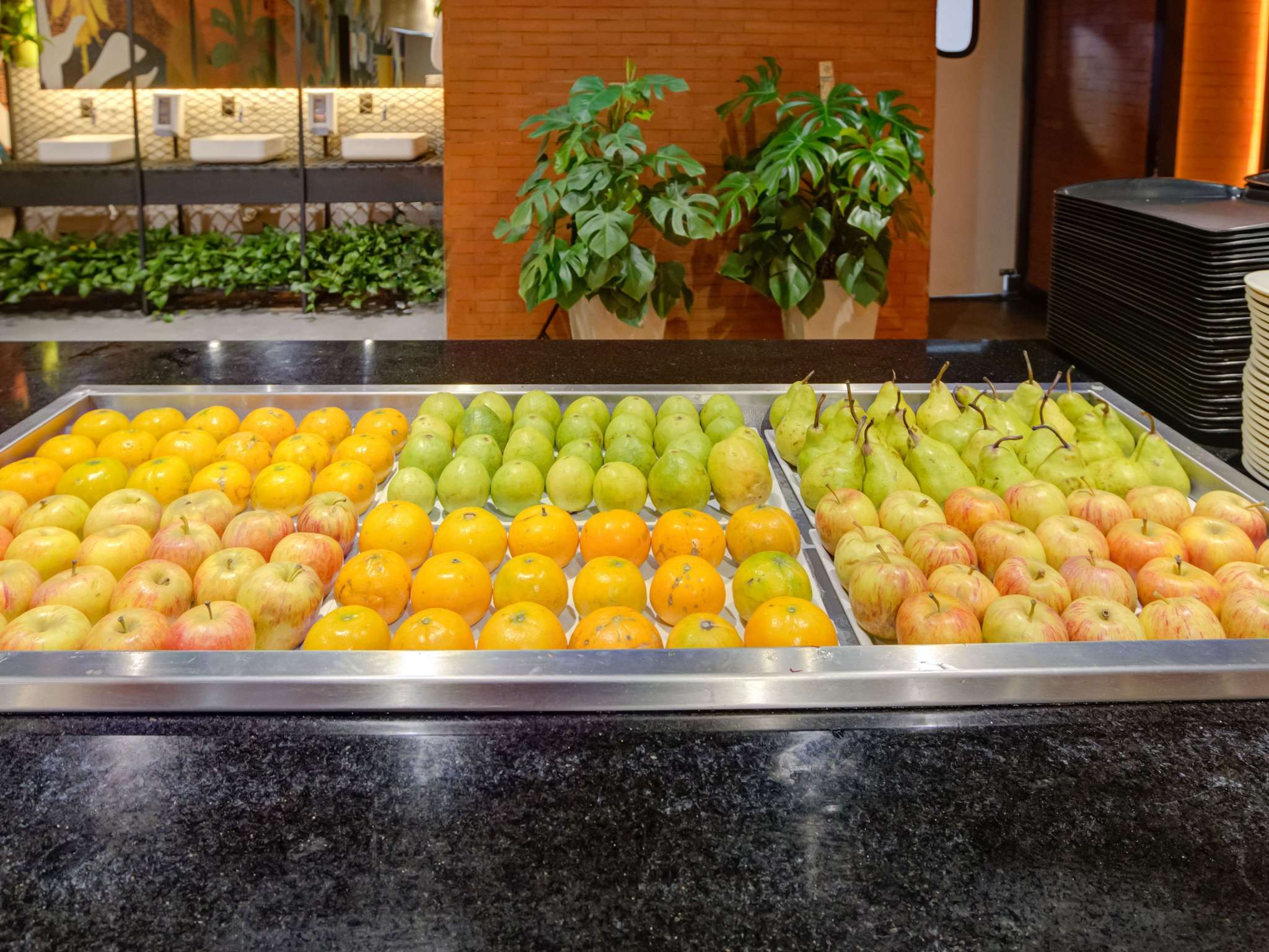 Foto - ibis Rio de Janeiro Santos Dumont