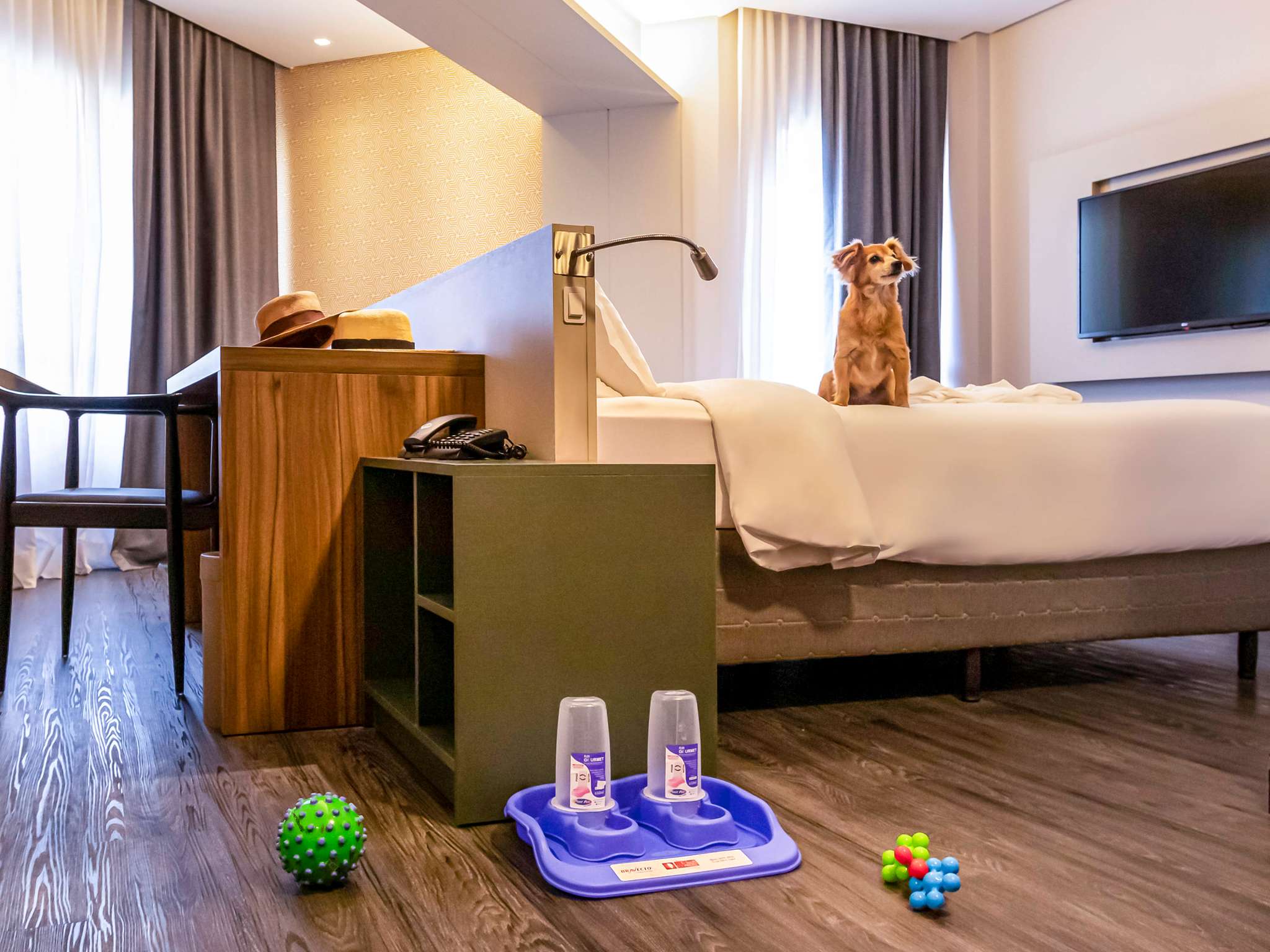 Photo - Mercure Florianópolis