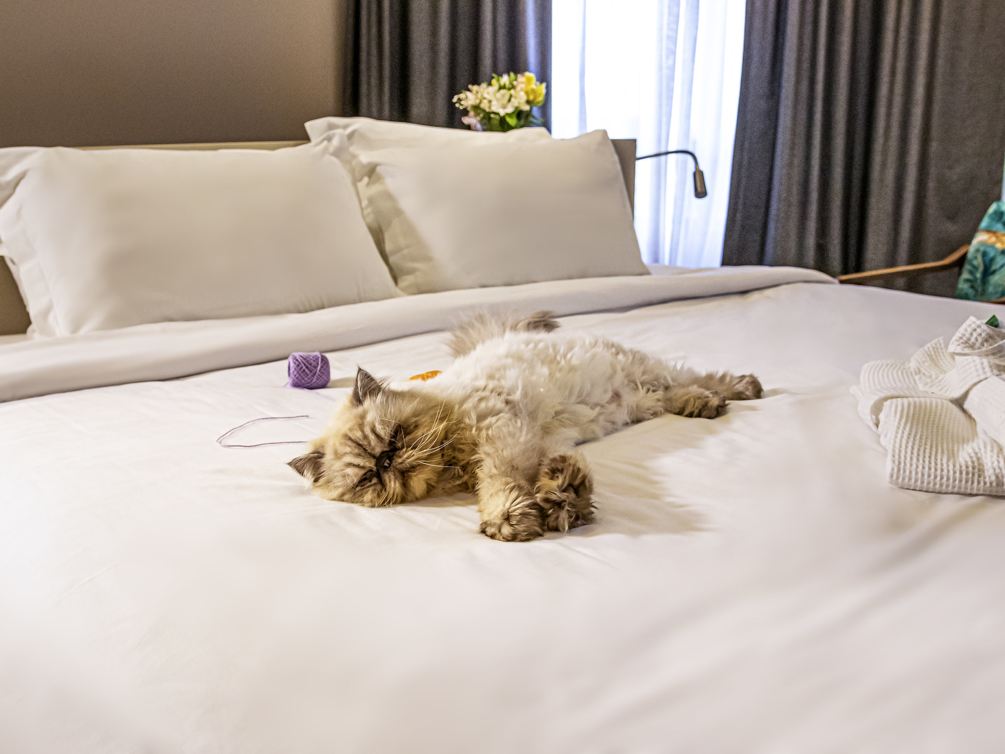 Photo - Mercure Florianópolis