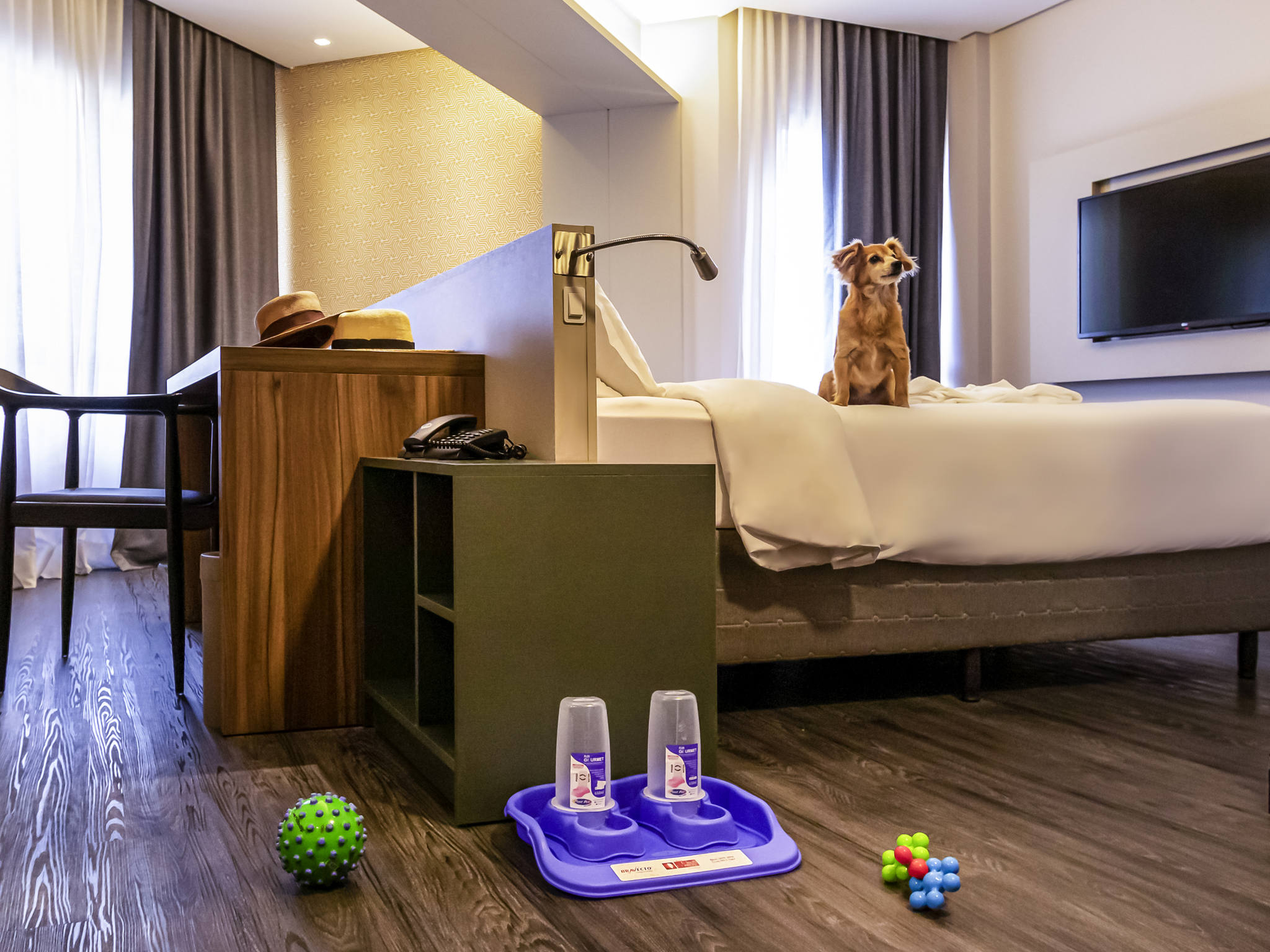 Photo - Mercure Florianópolis