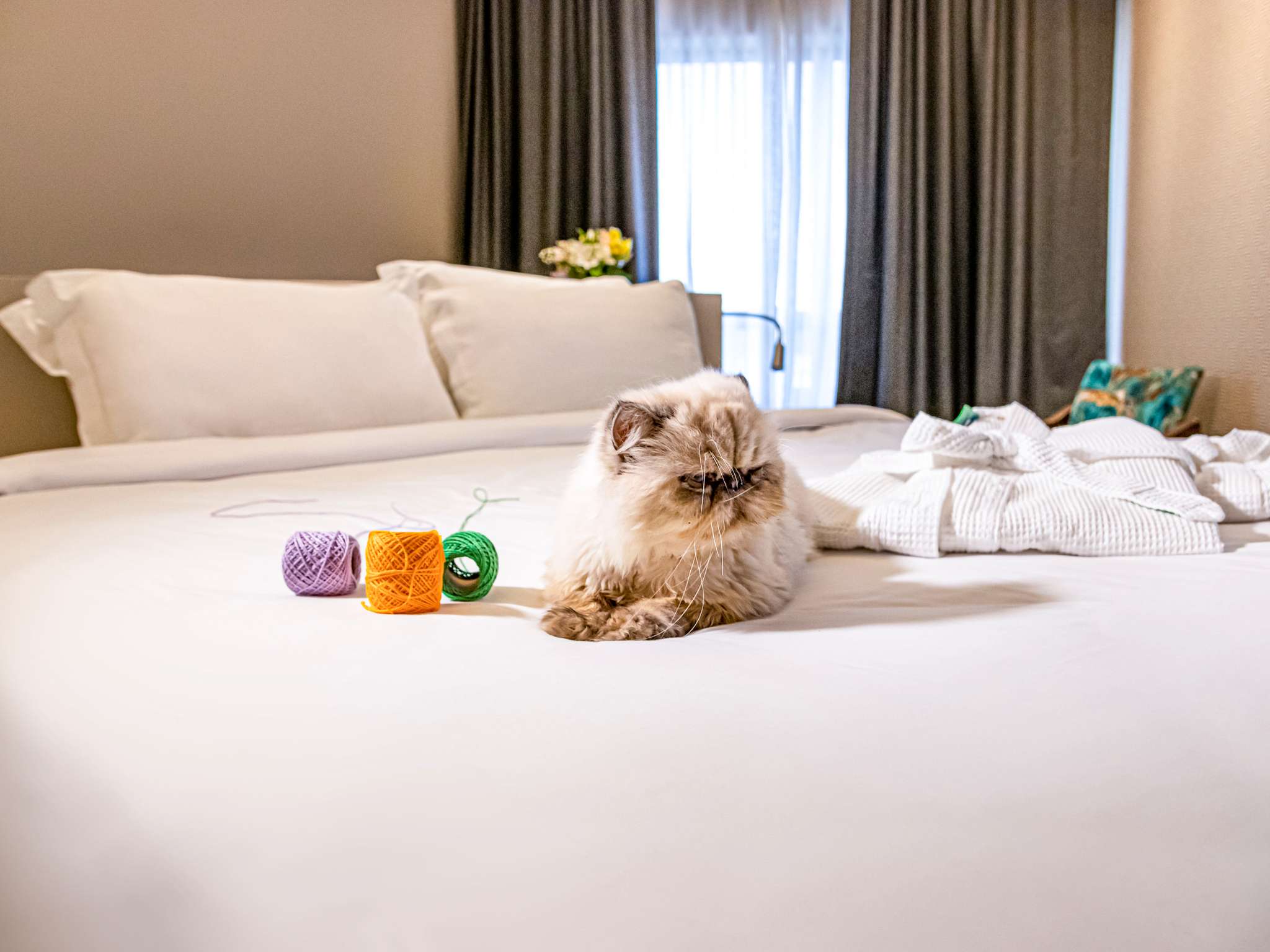 Photo - Mercure Florianópolis