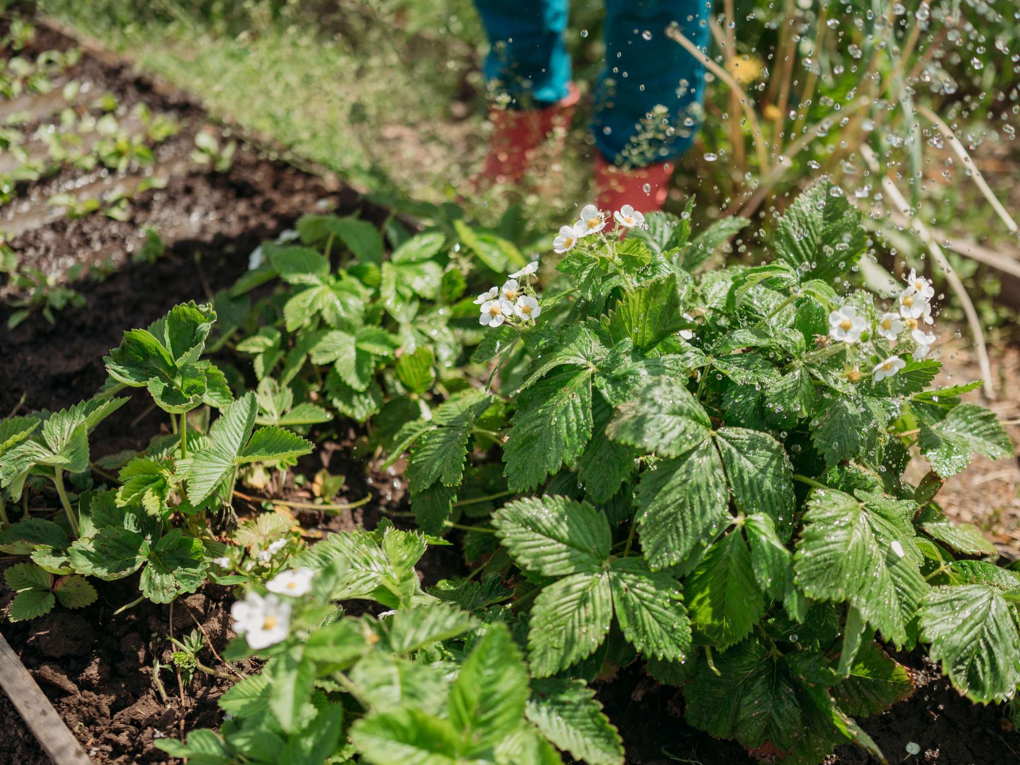 Photo - Ibis Barcelona Plaza Glòries 22@