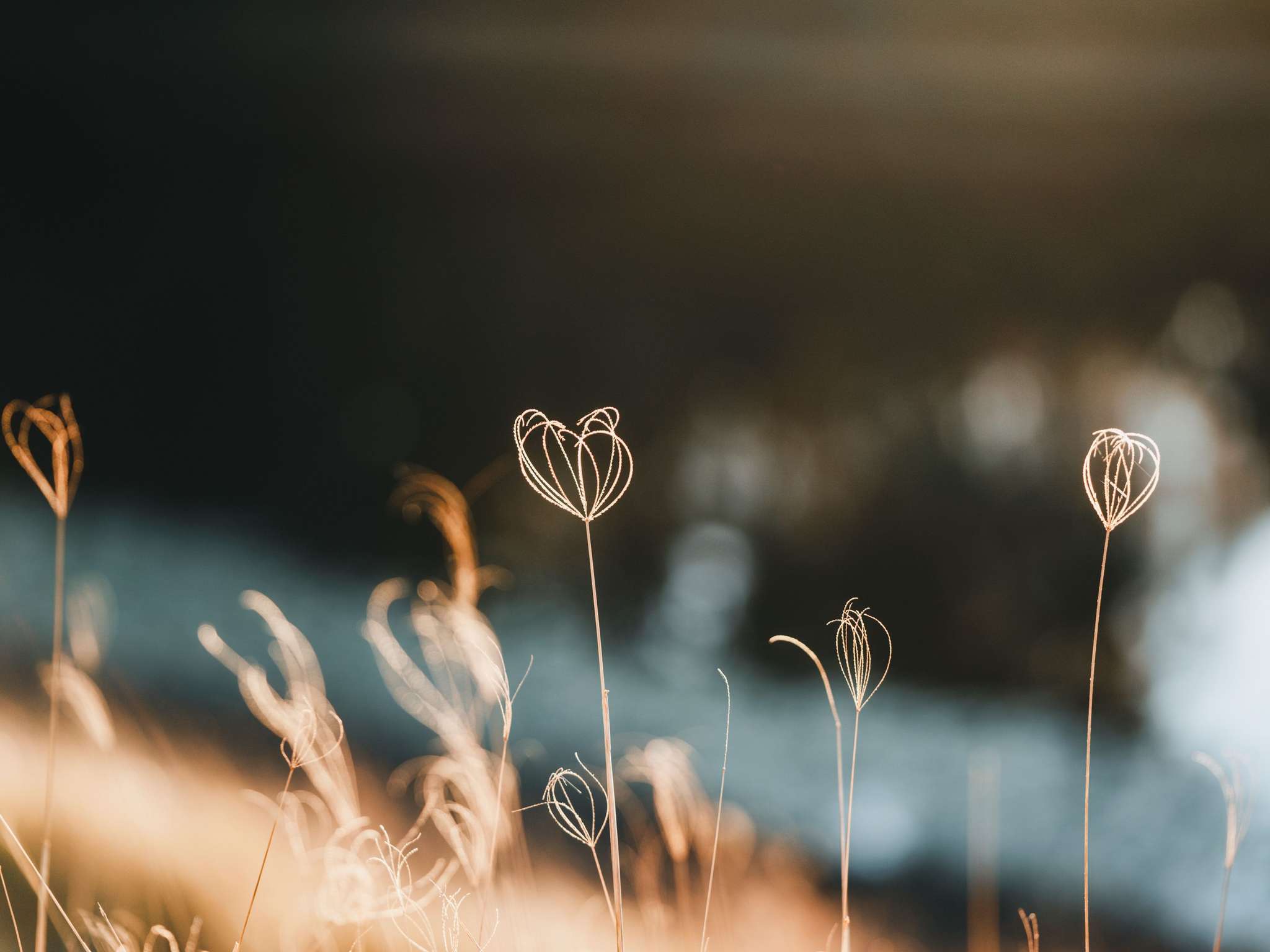 Photo - Ibis Istanbul Zeytinburnu