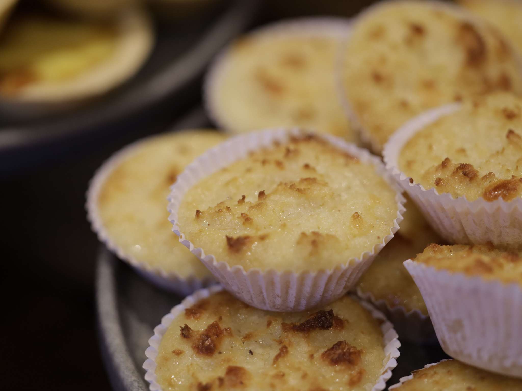 Photo - ibis Recife Boa Viagem