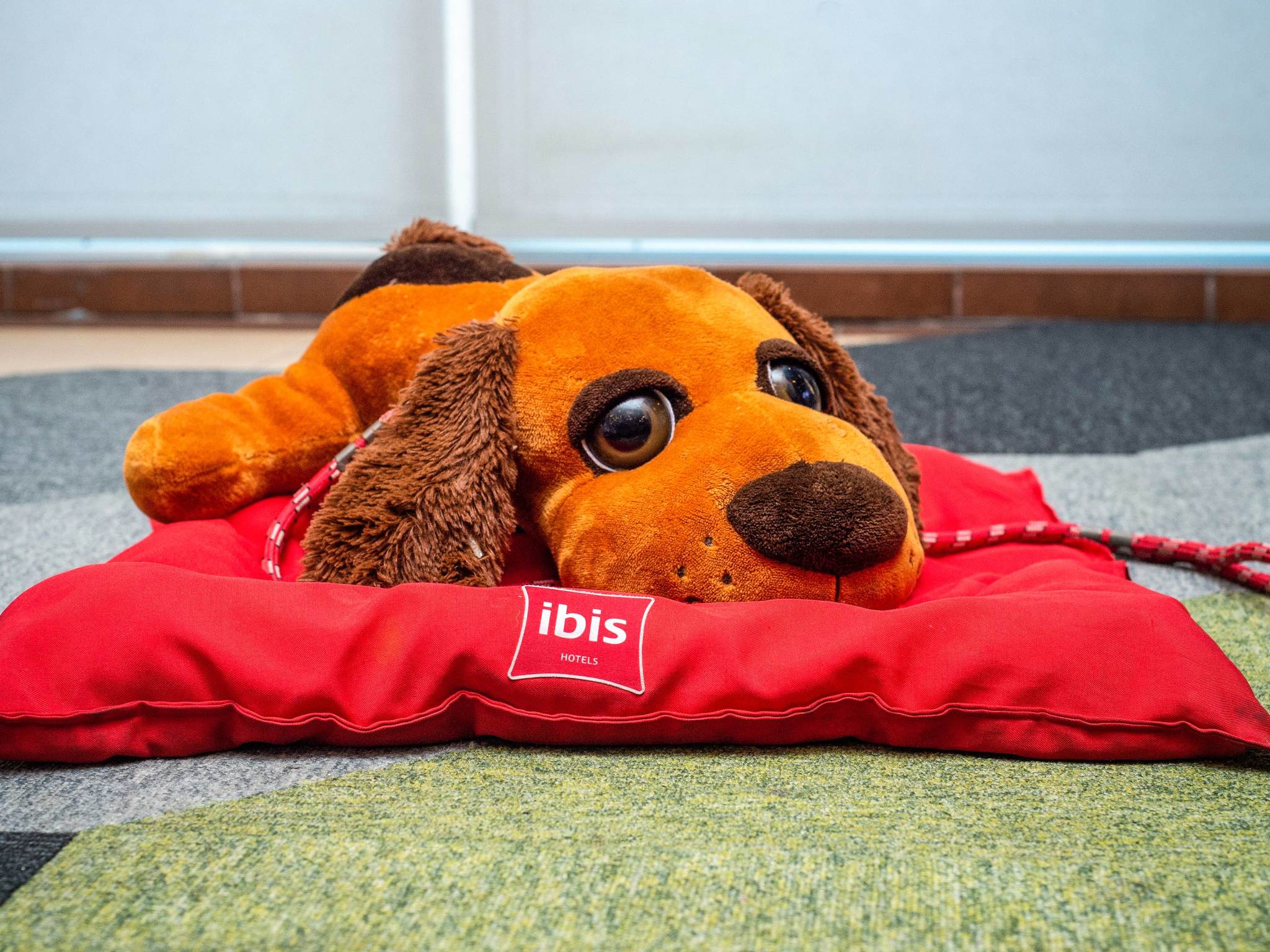 Photo - ibis Recife Boa Viagem