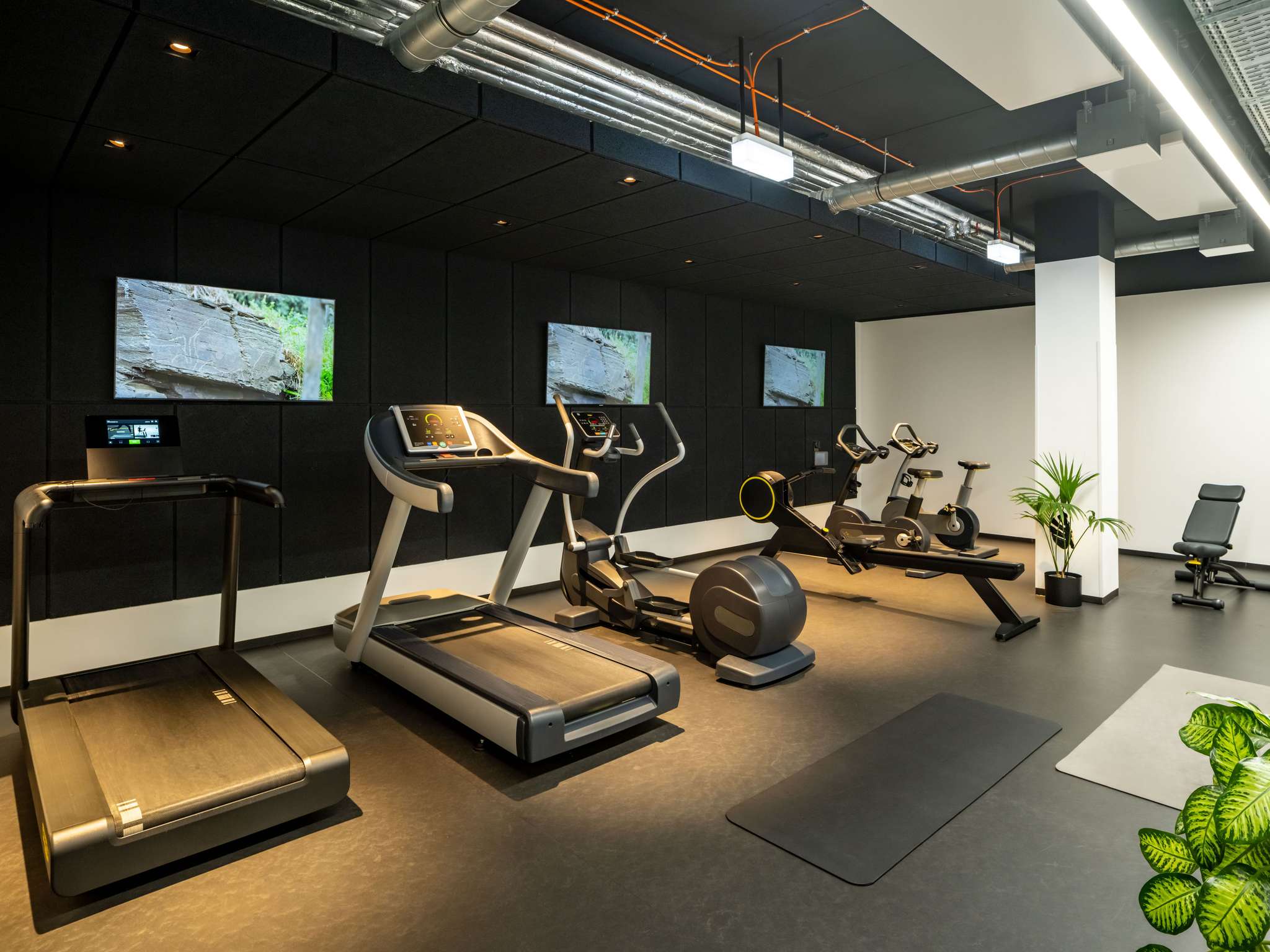 Foto - Novotel Wien City