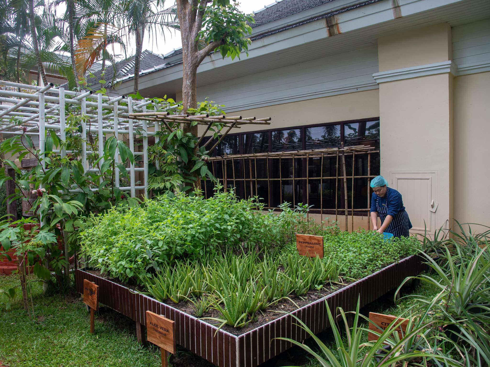 Photo - Sofitel Krabi Phokeethra Golf and Spa Resort