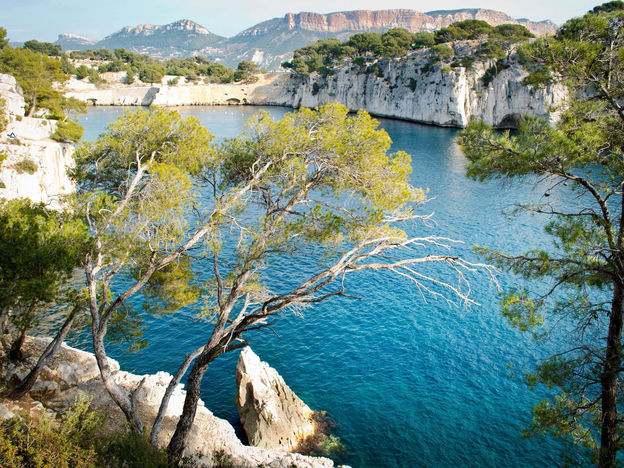 Photo - Novotel Suites Marseille Centre Euromed