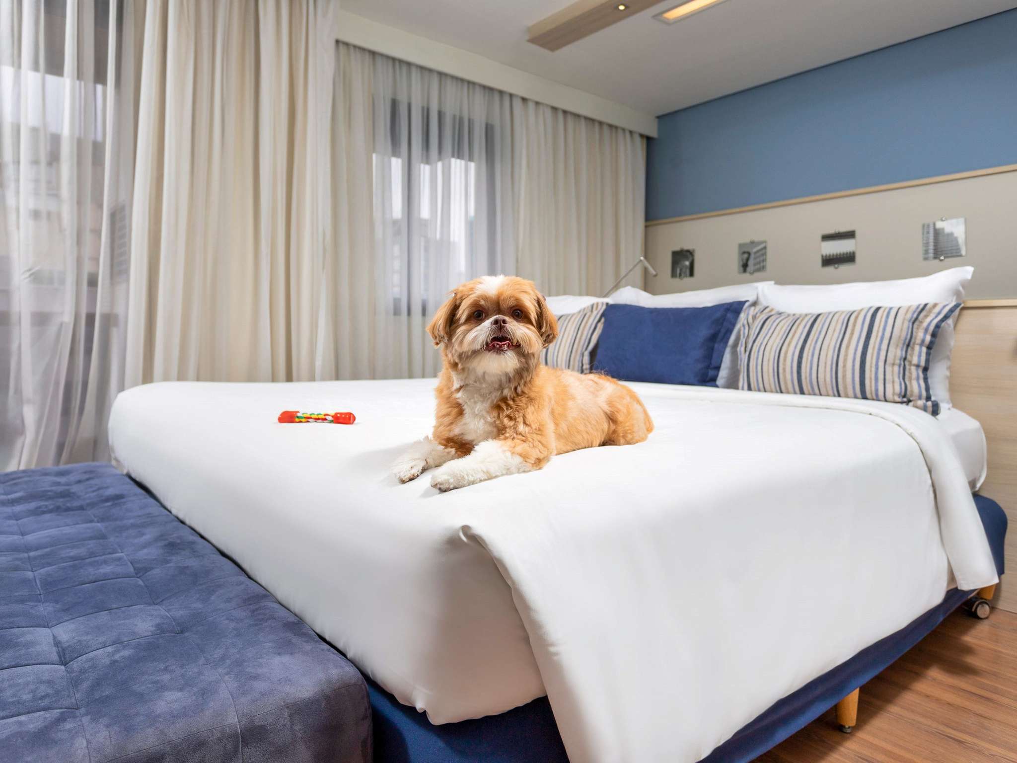 Photo - Mercure Sao Paulo Pamplona