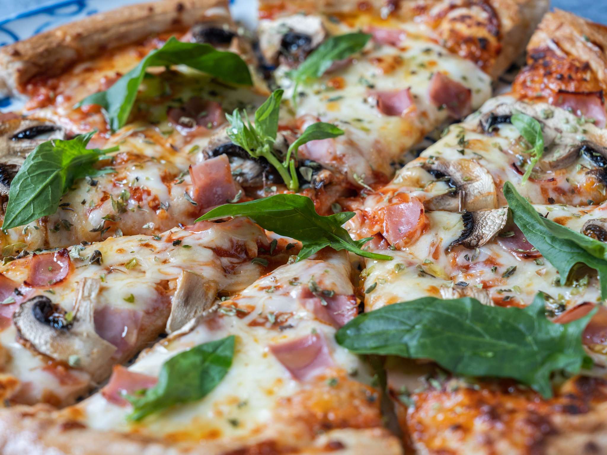 Foto - Ibis Madrid Alcobendas