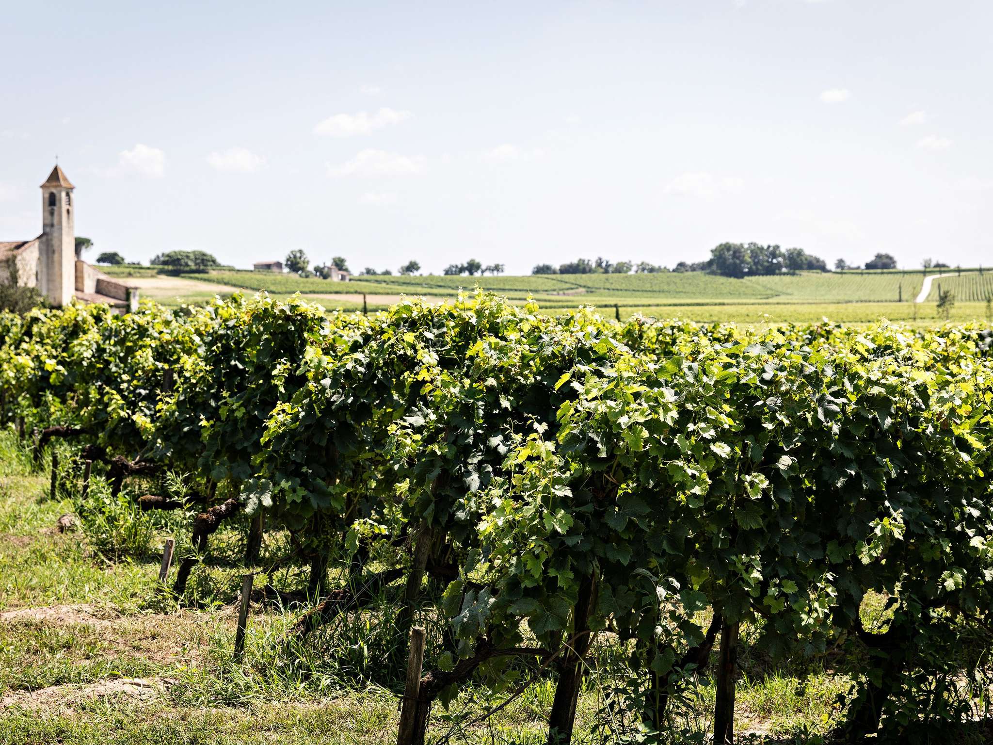 Foto - ibis Bordeaux Centre Bastide