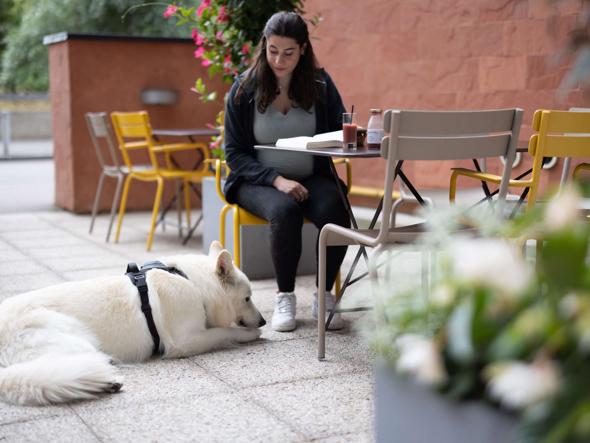 Foto - Novotel Suites Rouen Normandie