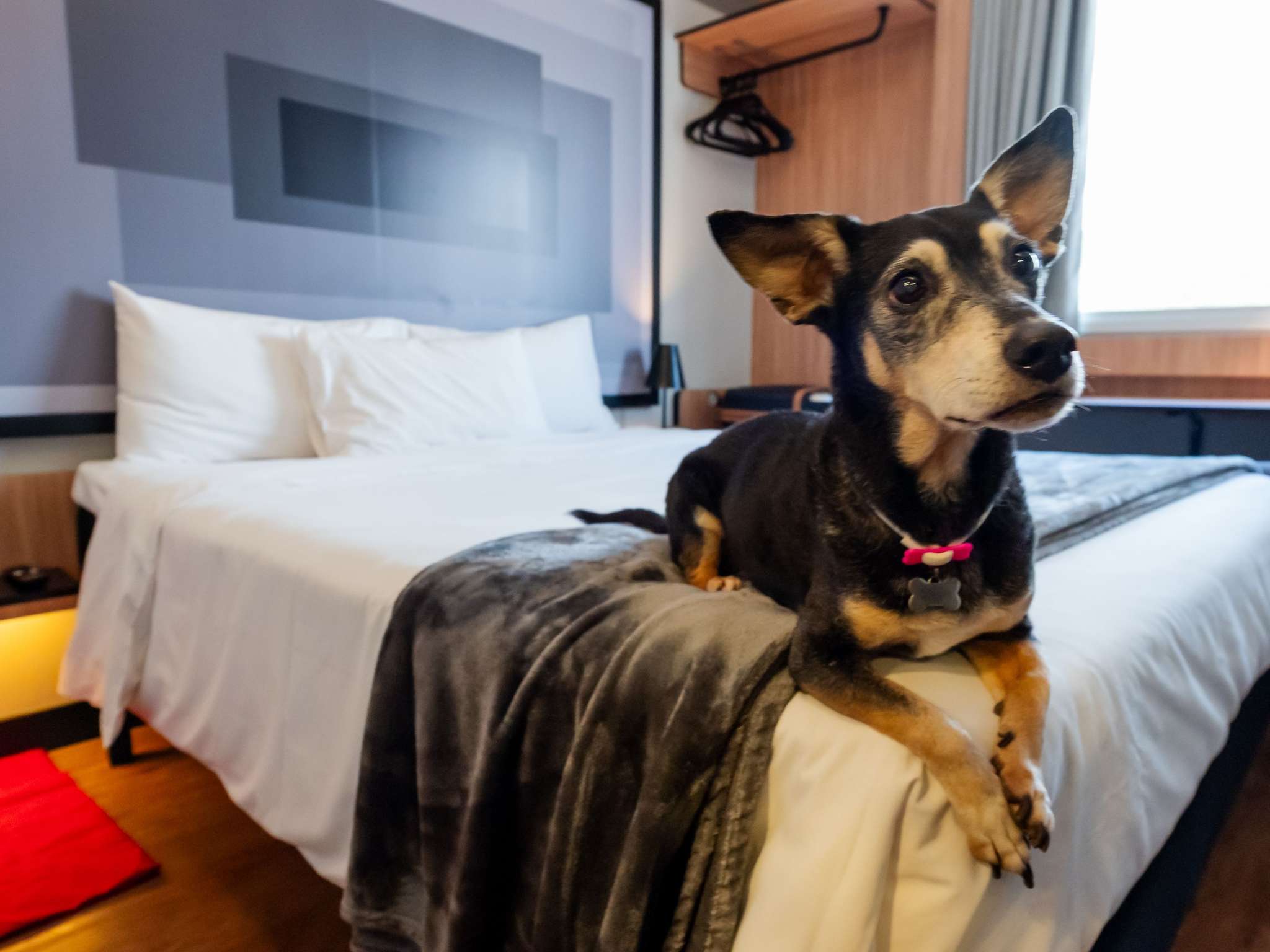 Foto - ibis Navegantes Itajai