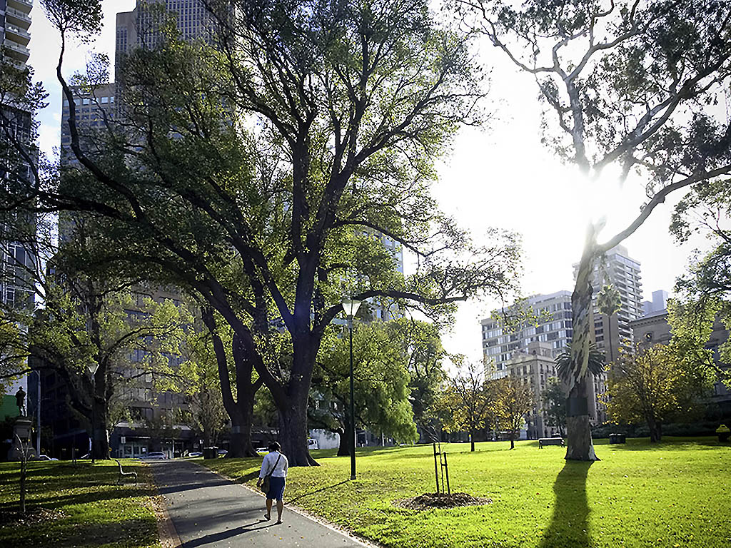 Foto - ibis Budget - Melbourne CBD