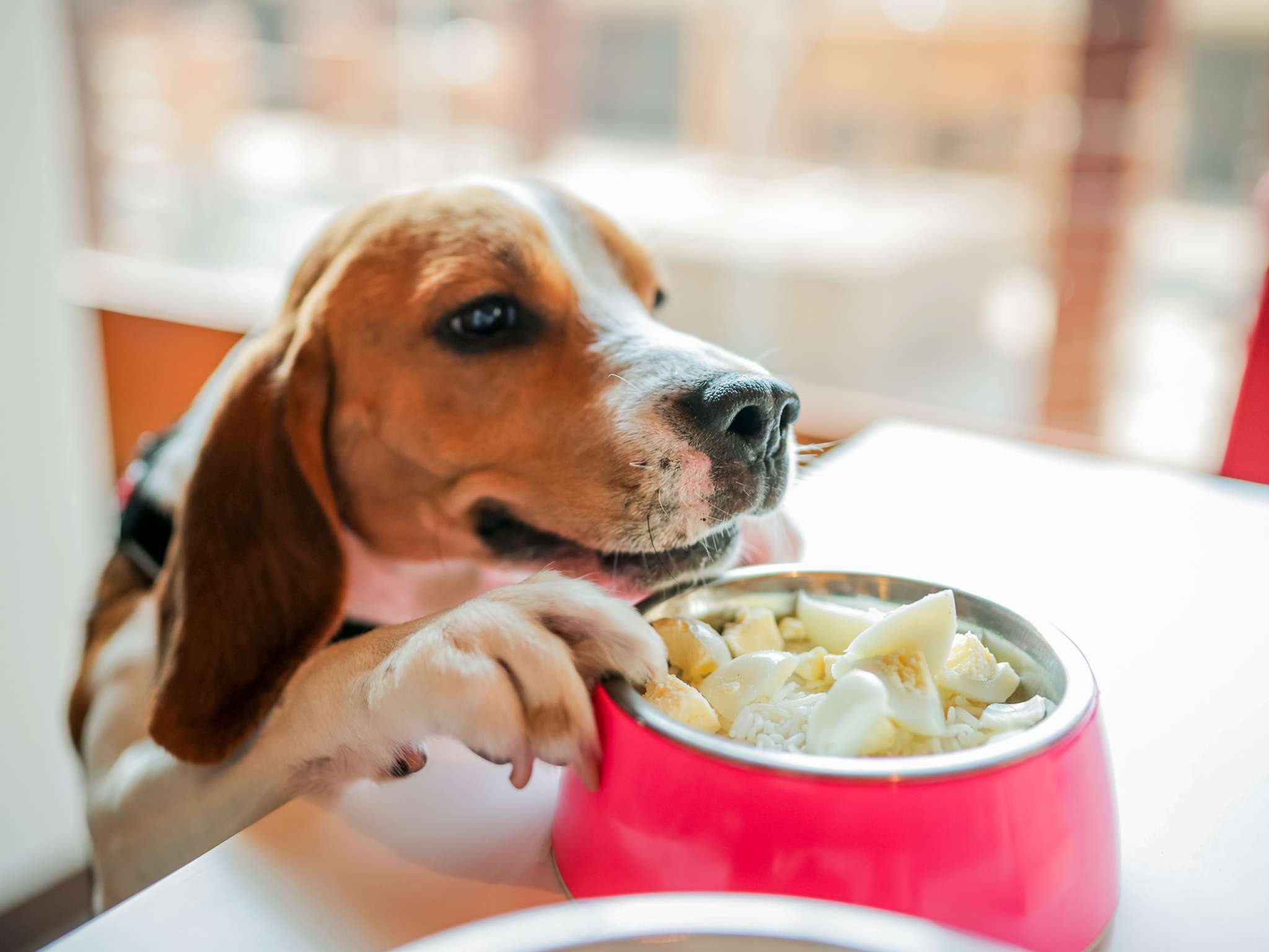 Foto - ibis Brighton City Centre - Station