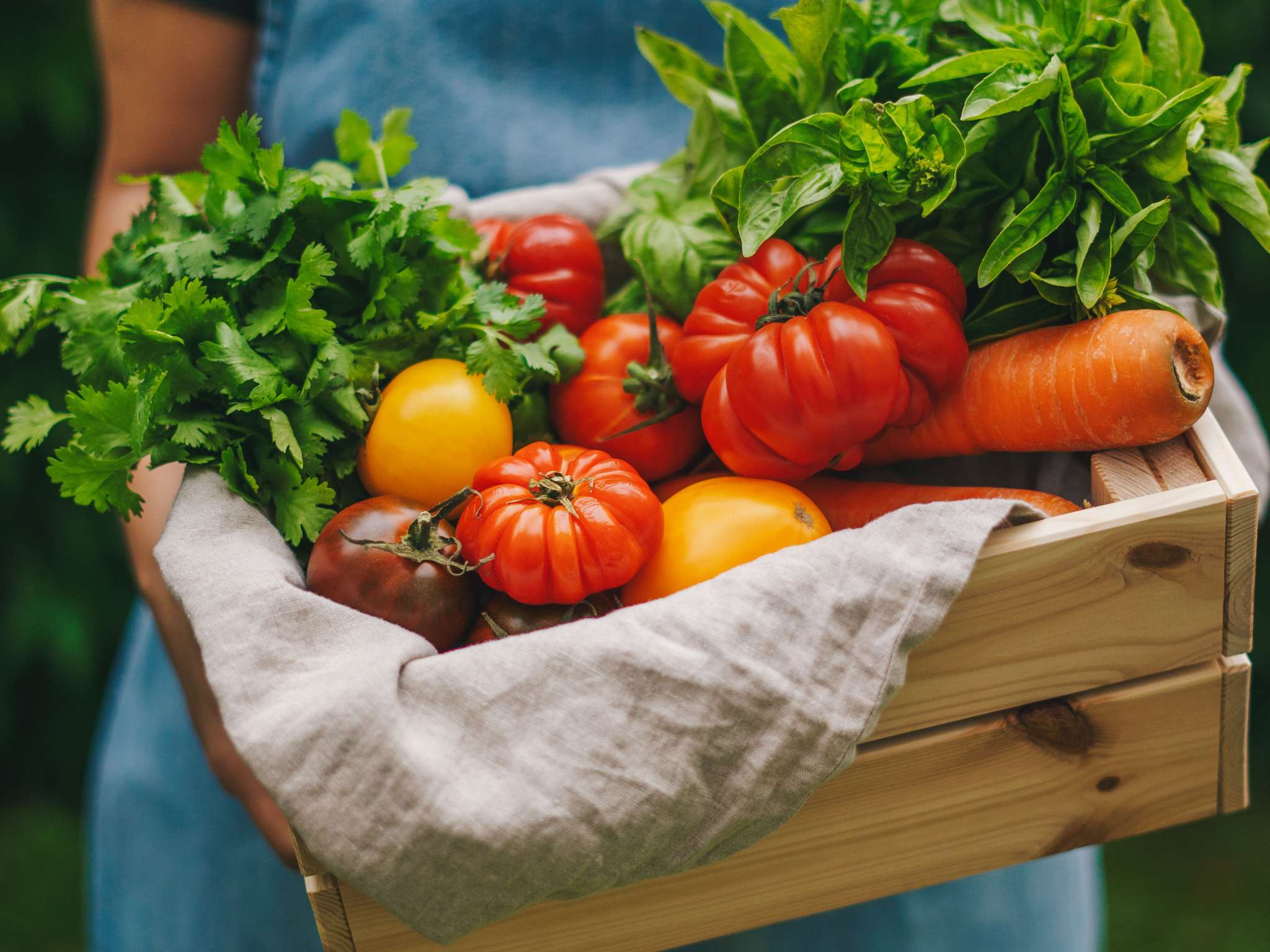 Photo - Sofitel Mumbai BKC