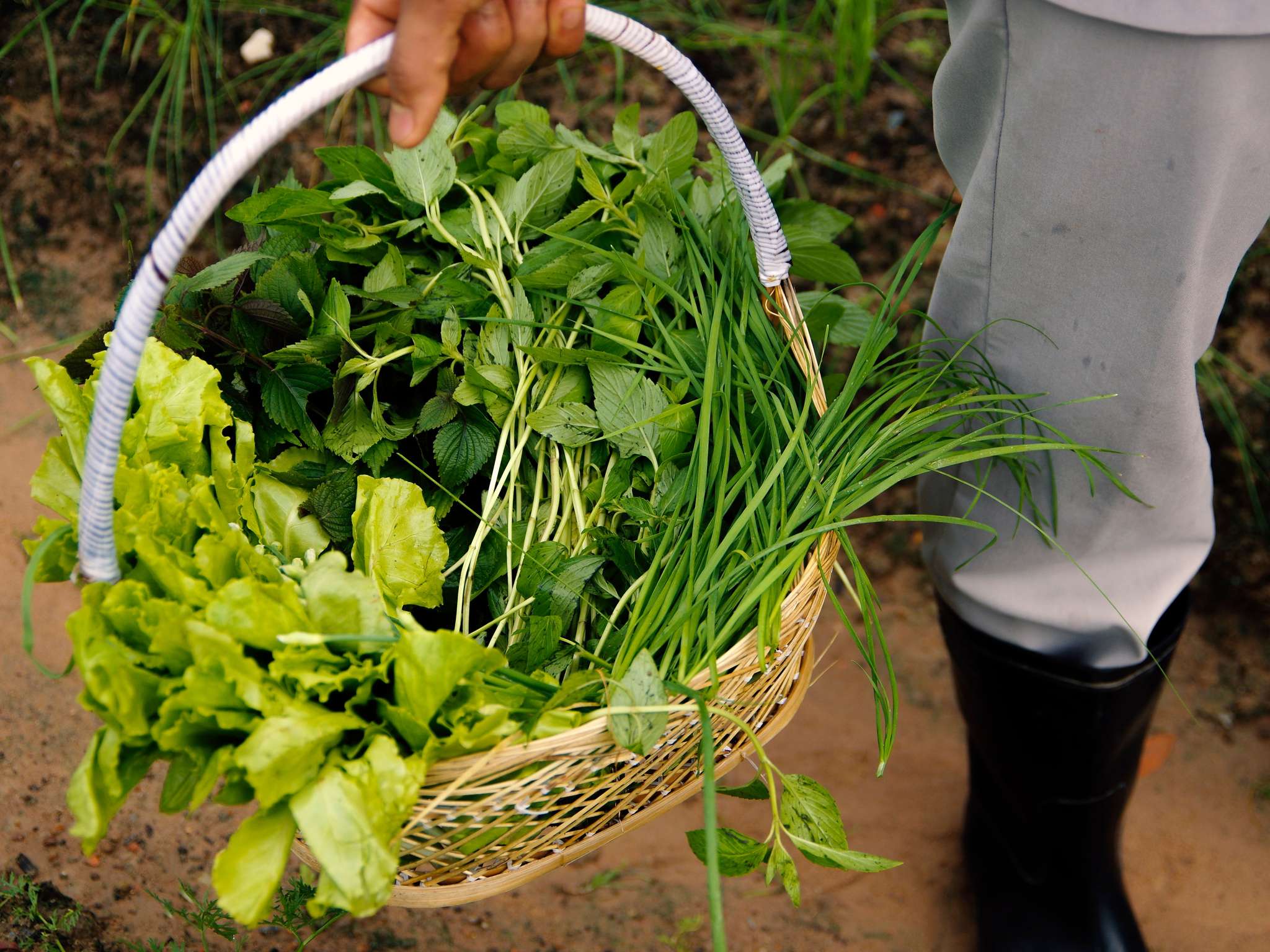 Foto - La Veranda Resort Phu Quoc - MGallery