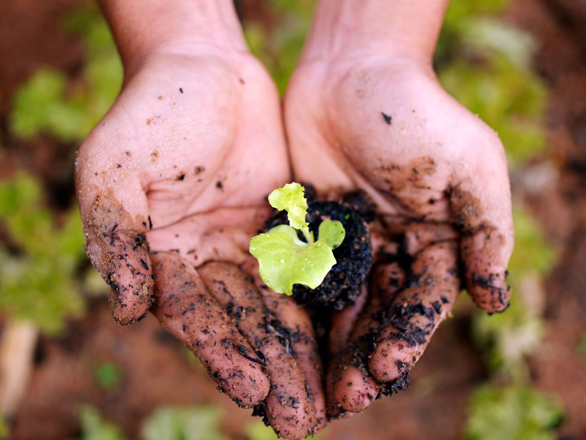 Foto - La Veranda Resort Phu Quoc - MGallery