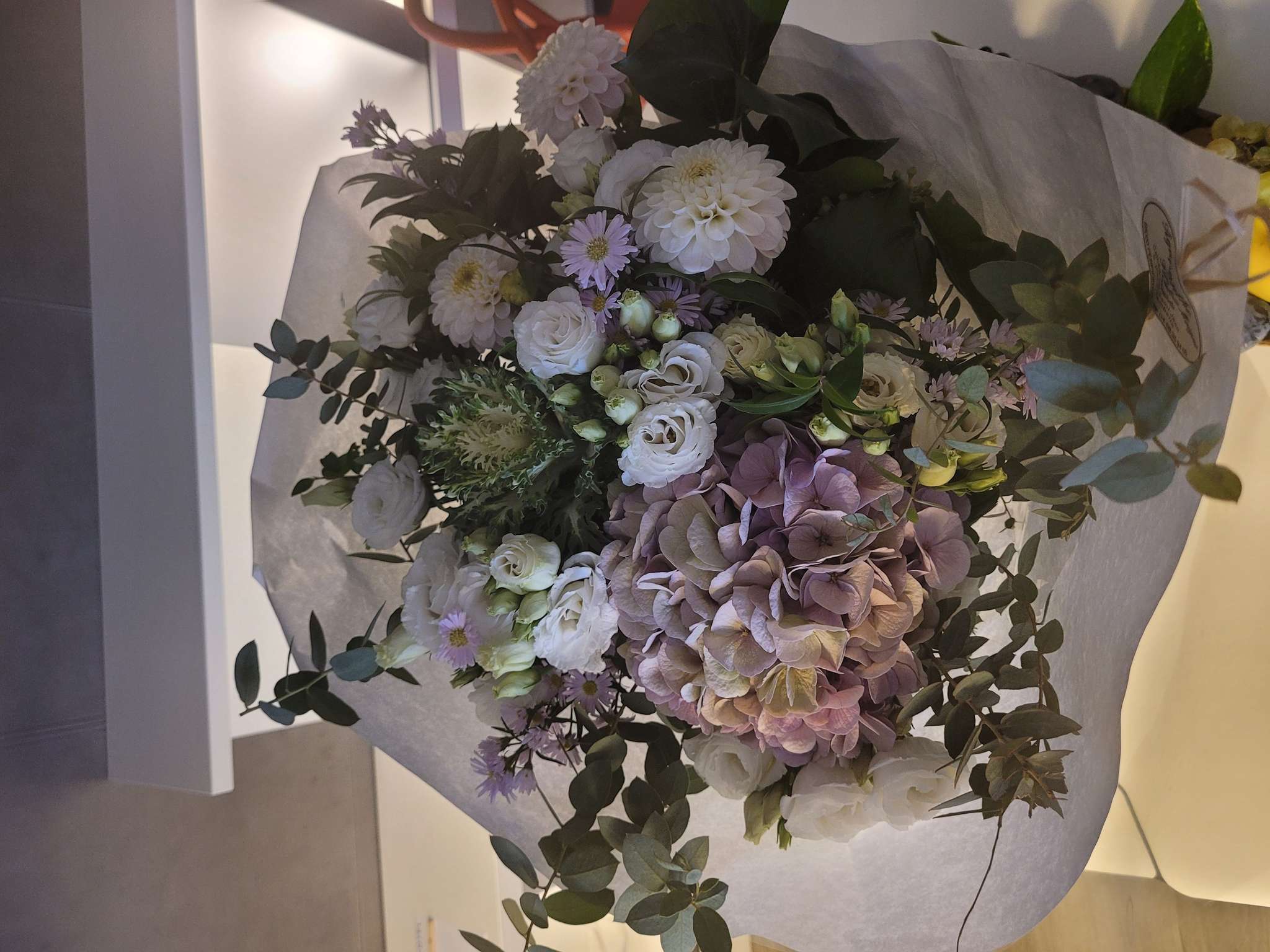 Foto - Novotel Suites Perpignan Centre - Grandes Suites & Confort Centre-Ville