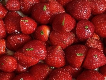 Foto - Novotel Suites Perpignan Centre - Grandes Suites & Confort Centre-Ville