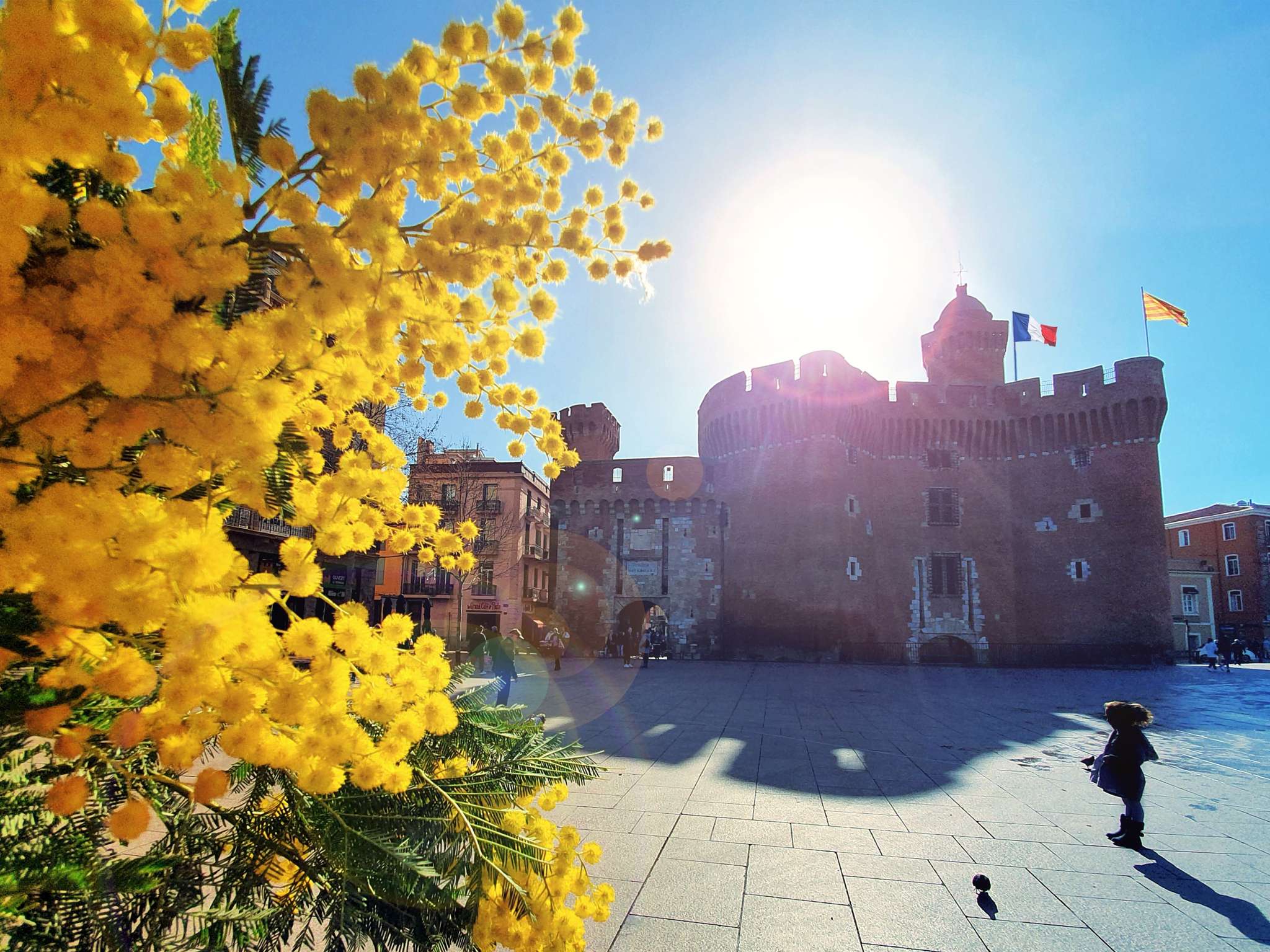 Foto - Novotel Suites Perpignan Centre - Grandes Suites & Confort Centre-Ville