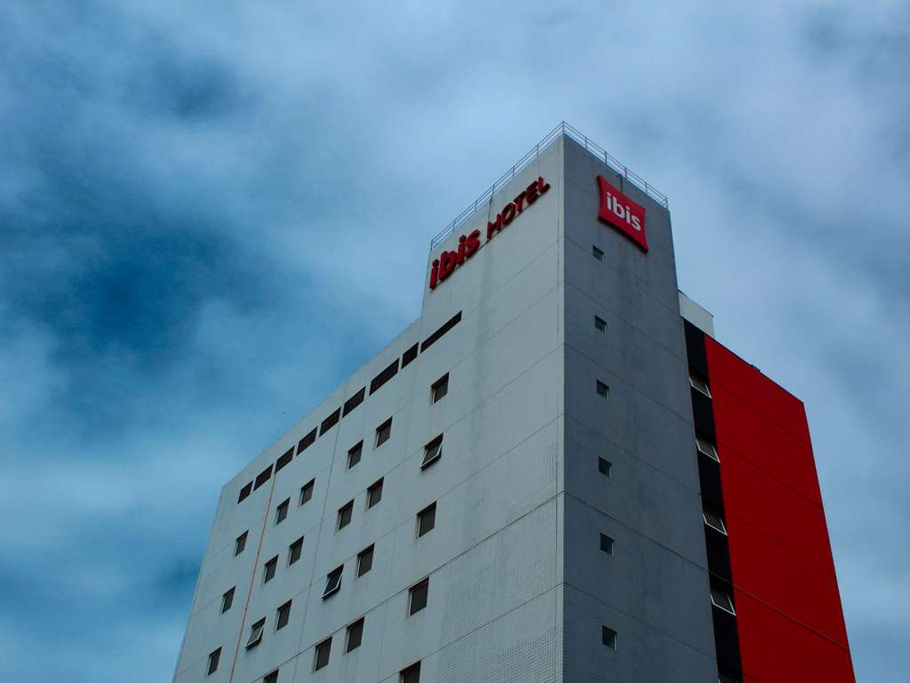 Ibis Natal - Image 3