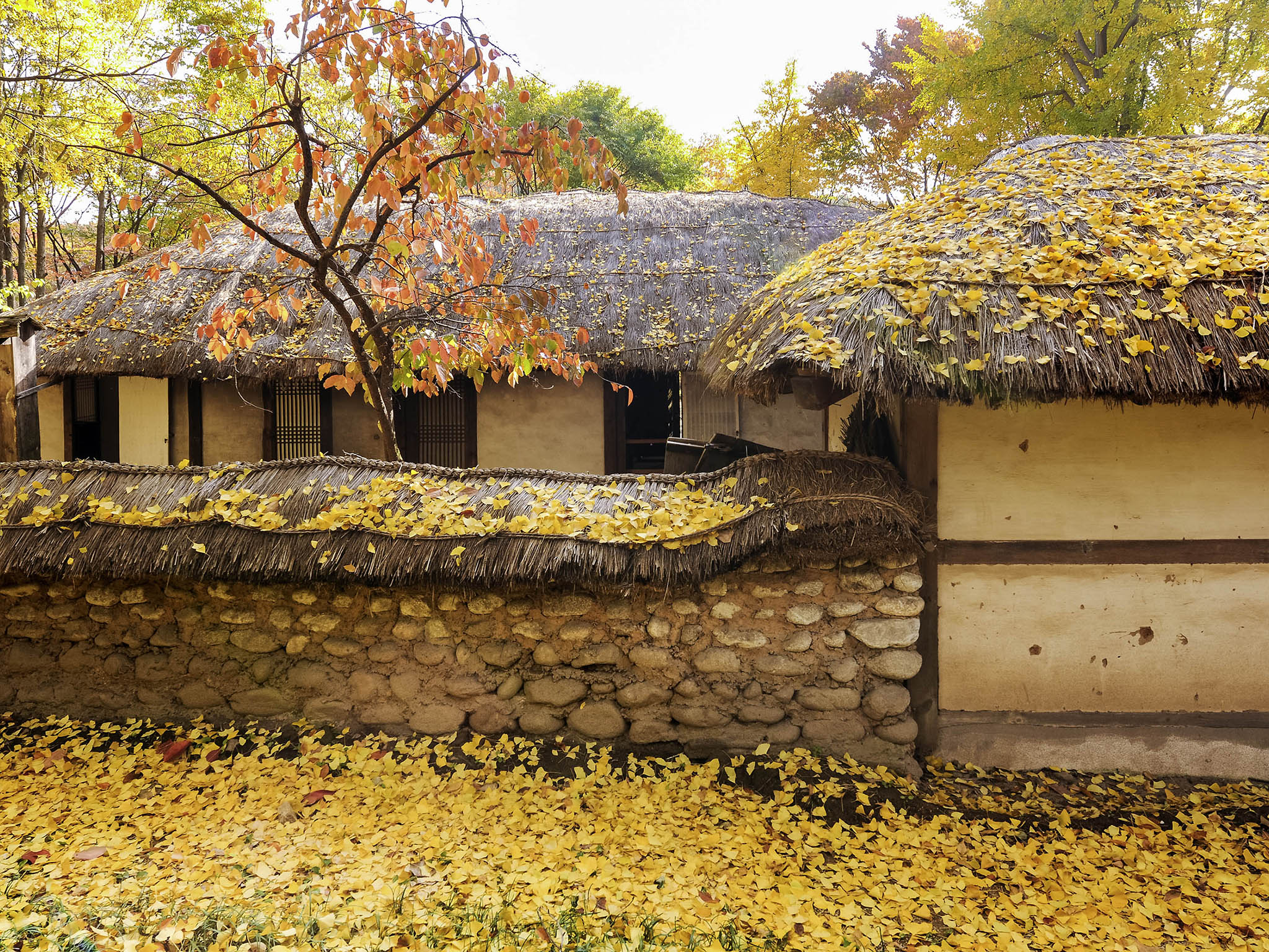 Photo - Ibis Ambassador Suwon