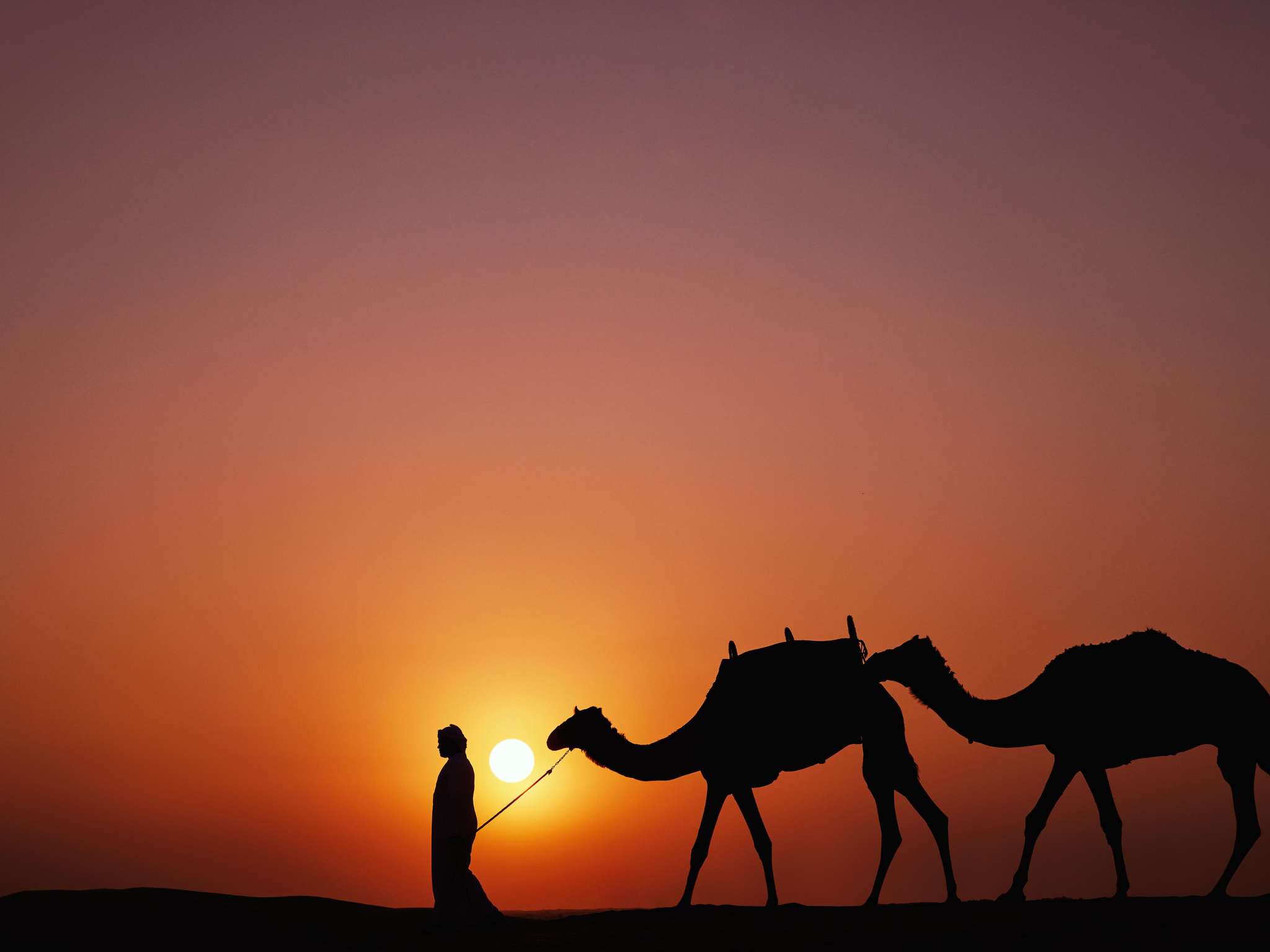 Foto - Sofitel Dubai The Palm Resort & Spa