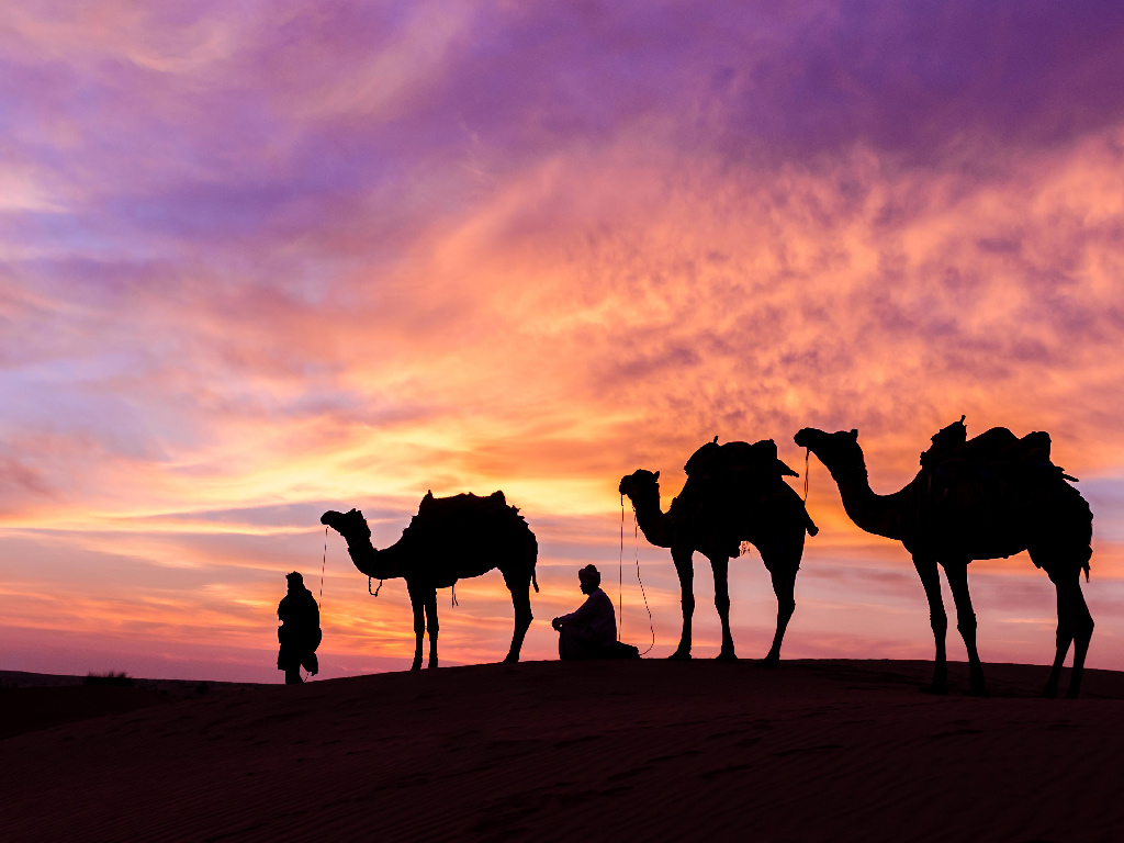 Foto - Sofitel Dubai The Palm Resort & Spa