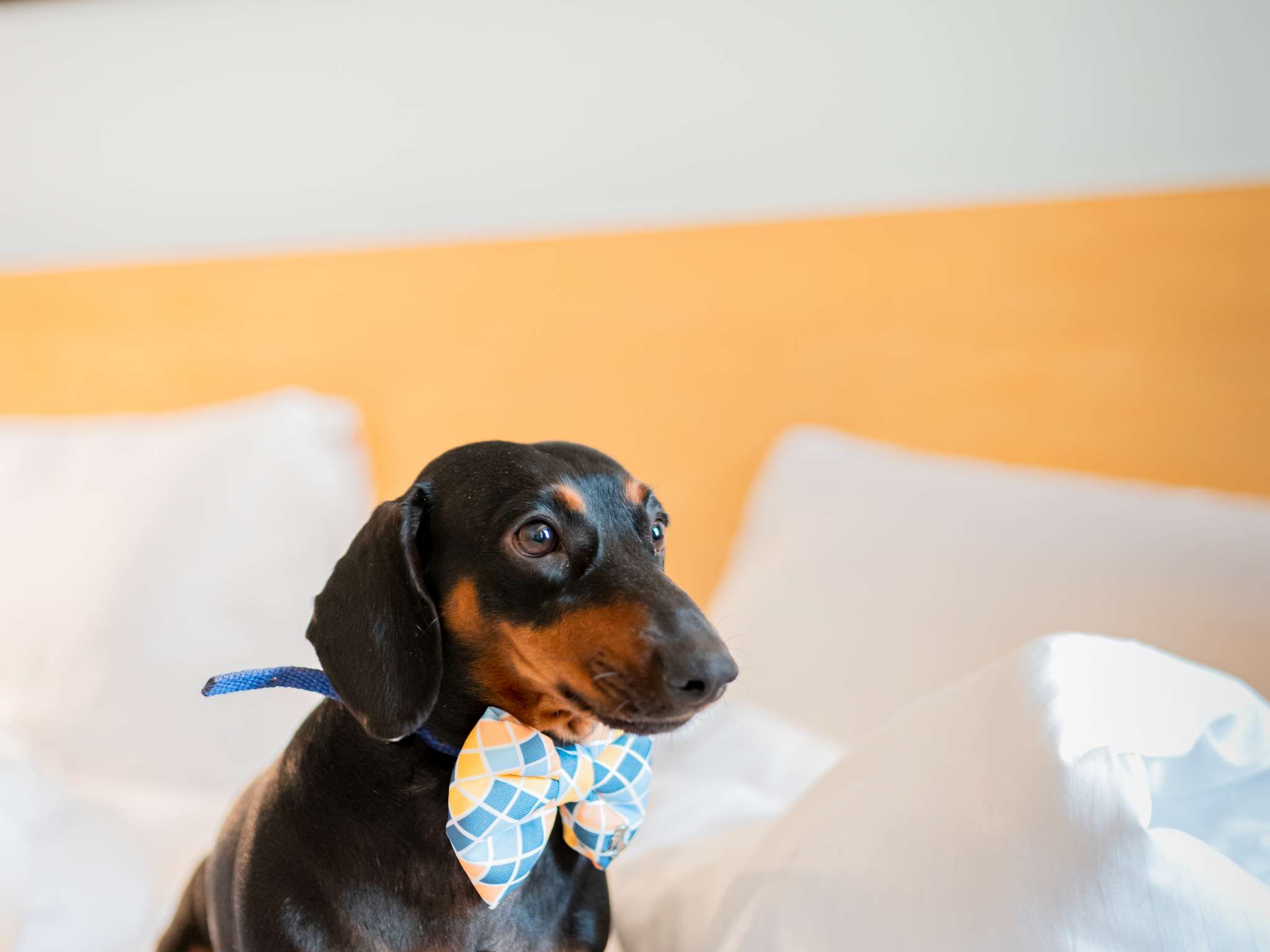 Foto - ibis Martigues Centre