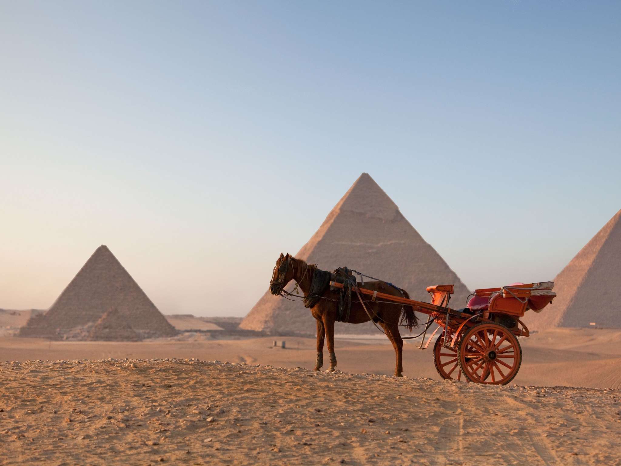 Photo - Novotel Cairo El Borg