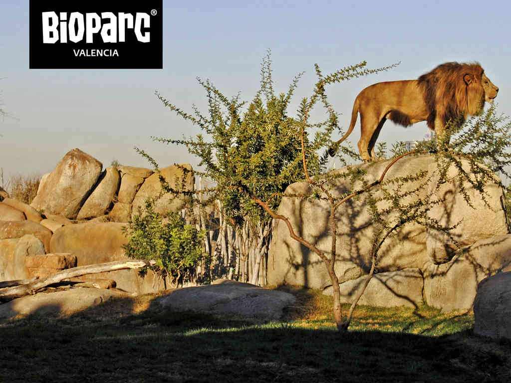 Photo - Ibis Budget Valencia Alcasser