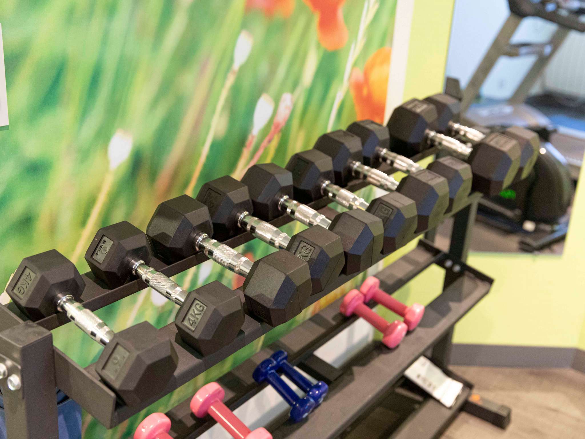 Photo - Mercure Granville Le Grand Large