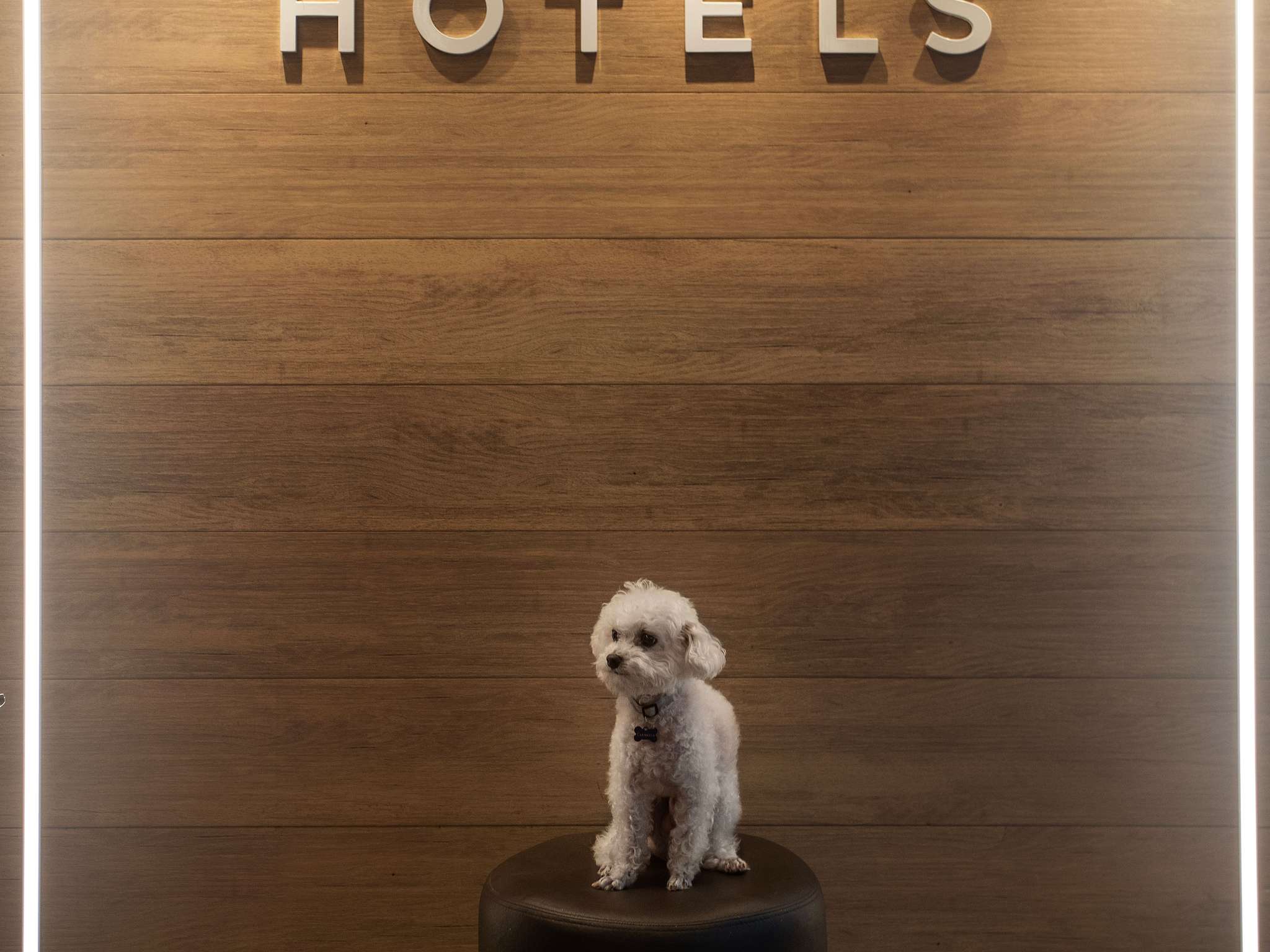 Photo - Mercure Maceio Pajuçara