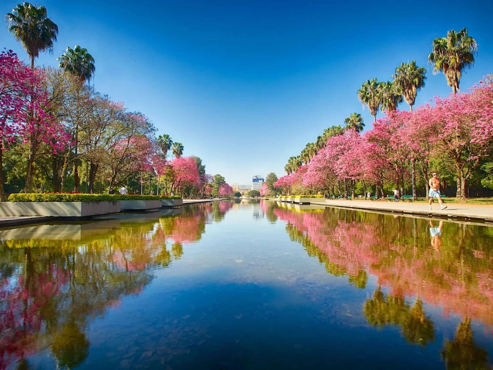 Photo - ibis Porto Alegre Moinhos de Vento