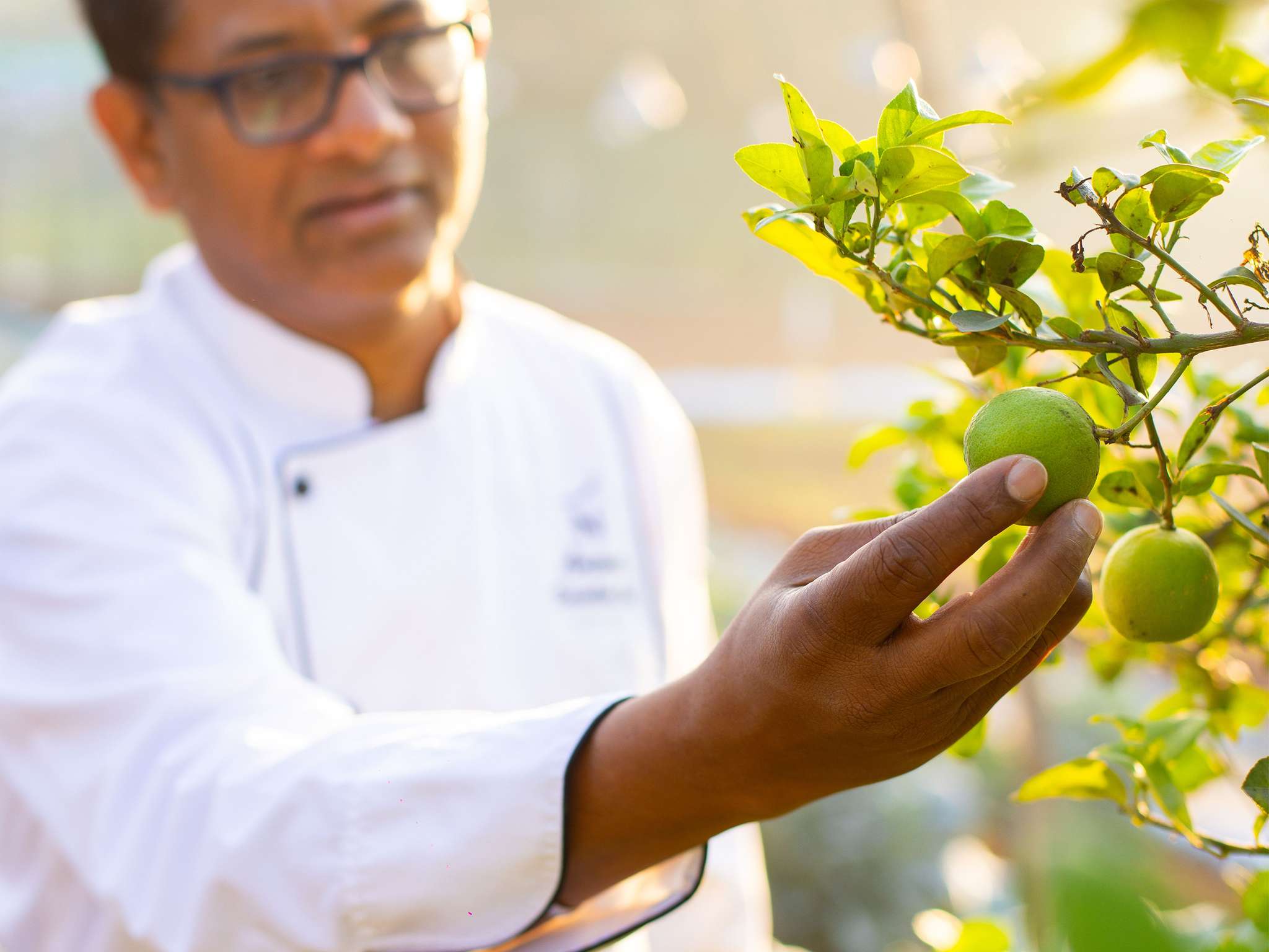 Photo - Novotel Hyderabad Airport