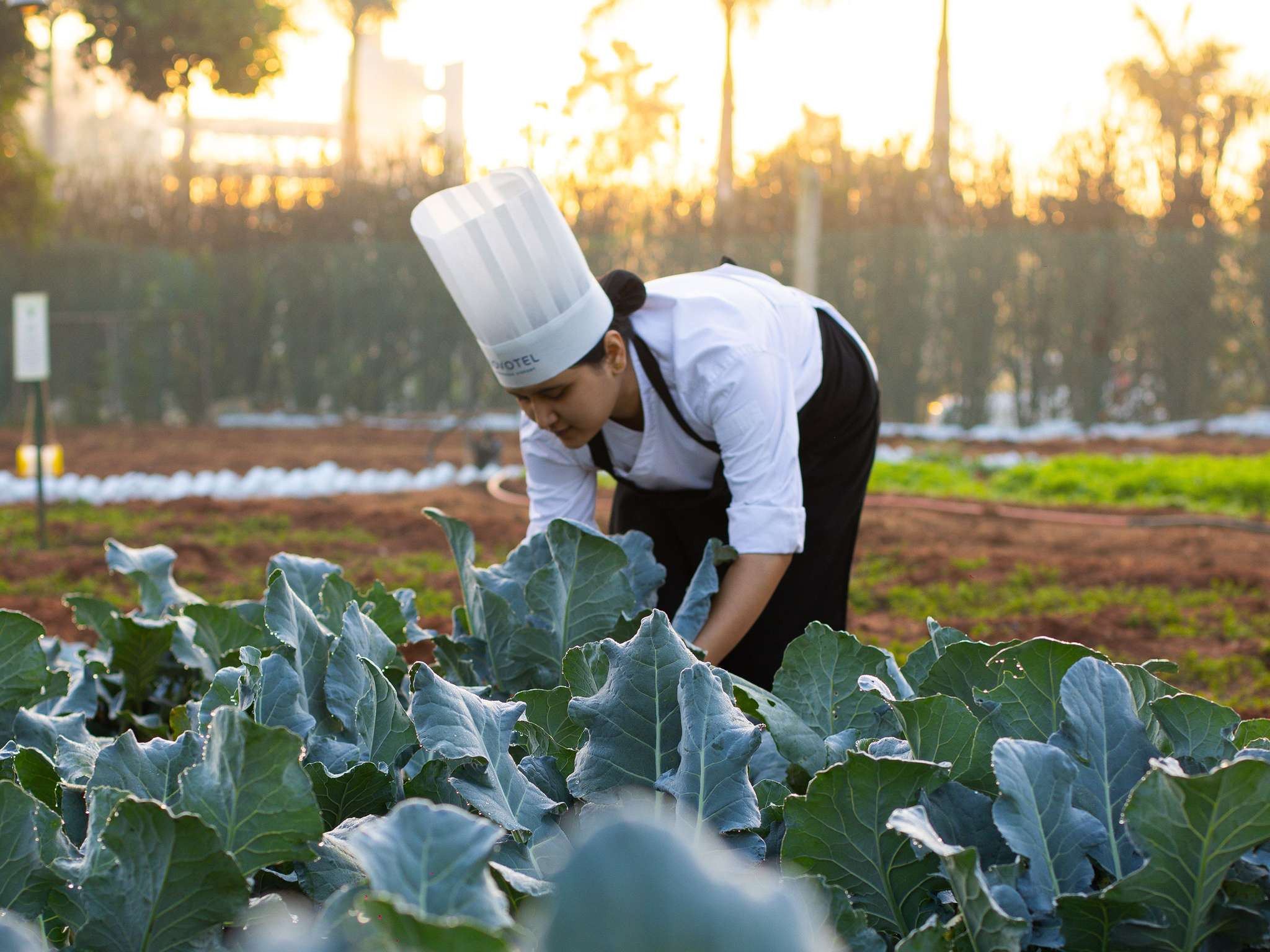 Photo - Novotel Hyderabad Airport
