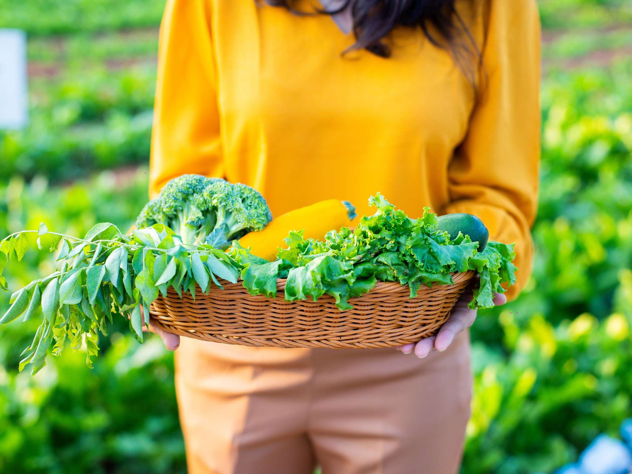 Photo - Novotel Hyderabad Airport