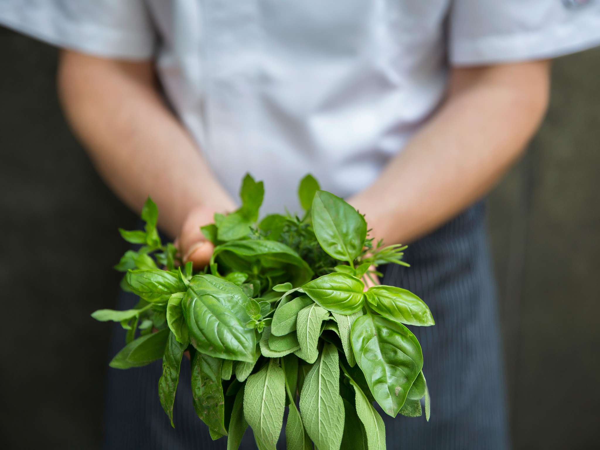 Foto - Novotel Trabzon