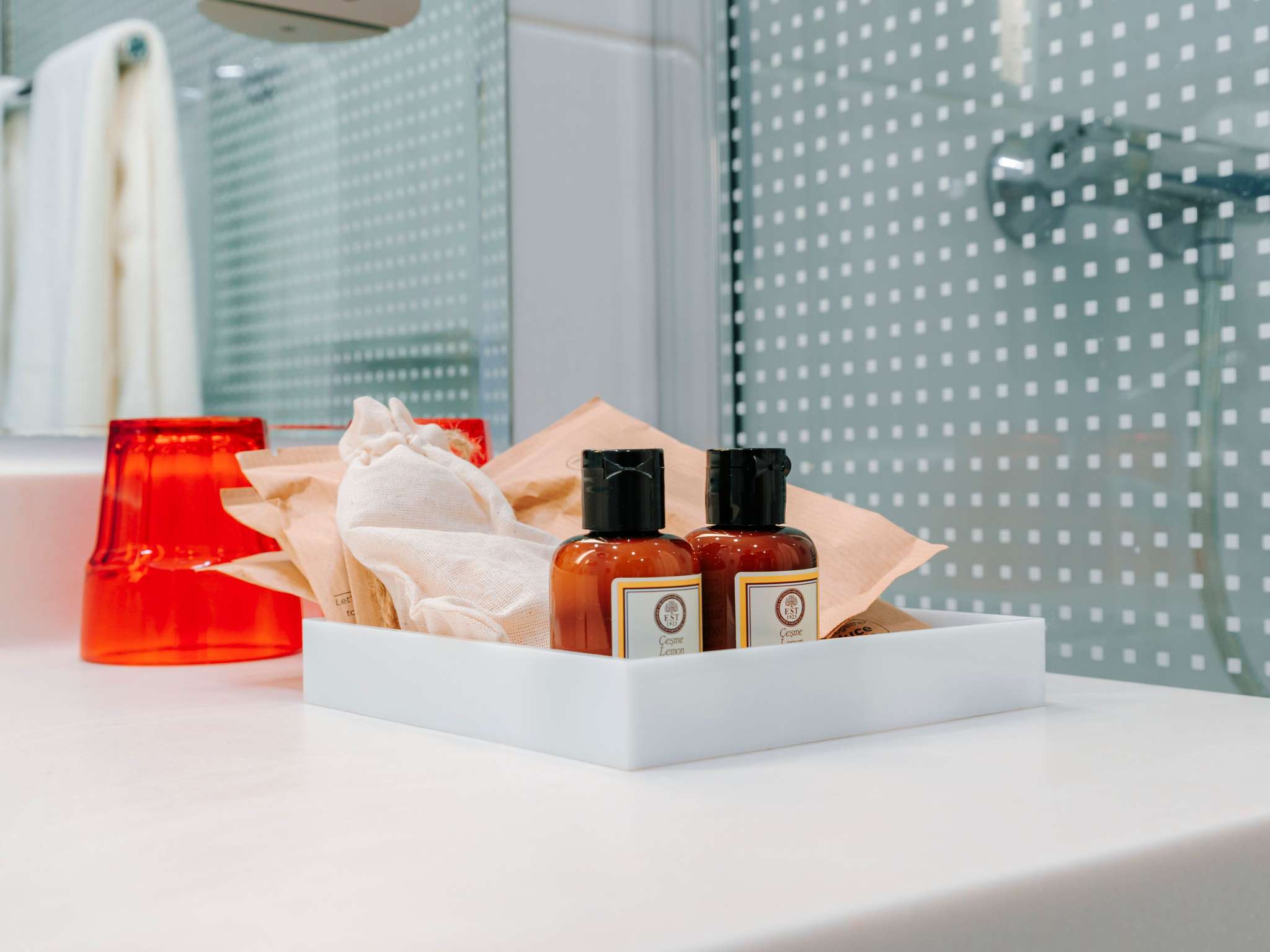 Foto - Novotel Trabzon