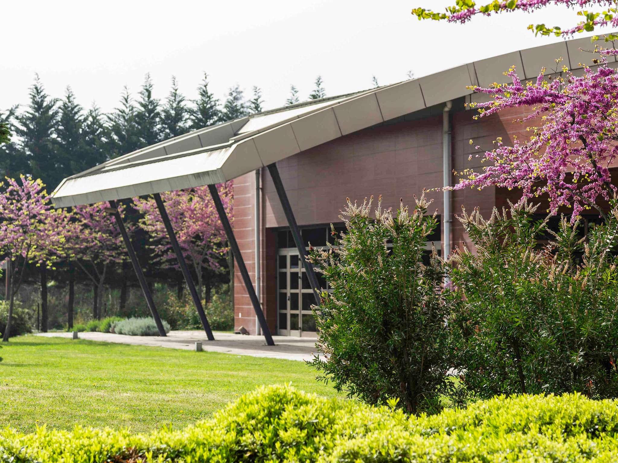 Foto - Novotel Trabzon